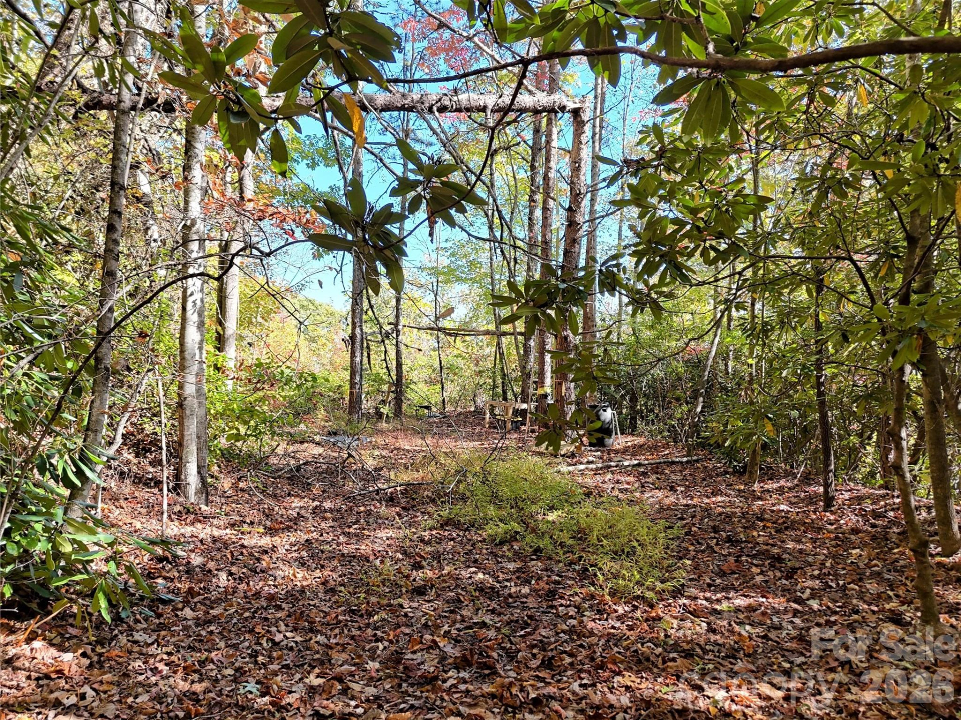 0 Mack Luke Road #6 - Photo 11