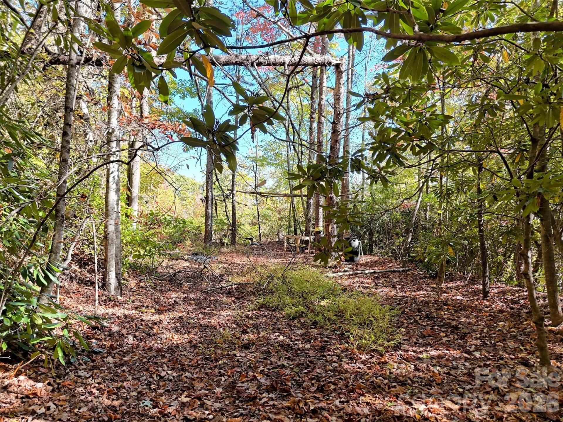 0 Mack Luke Road #6 - Photo 11