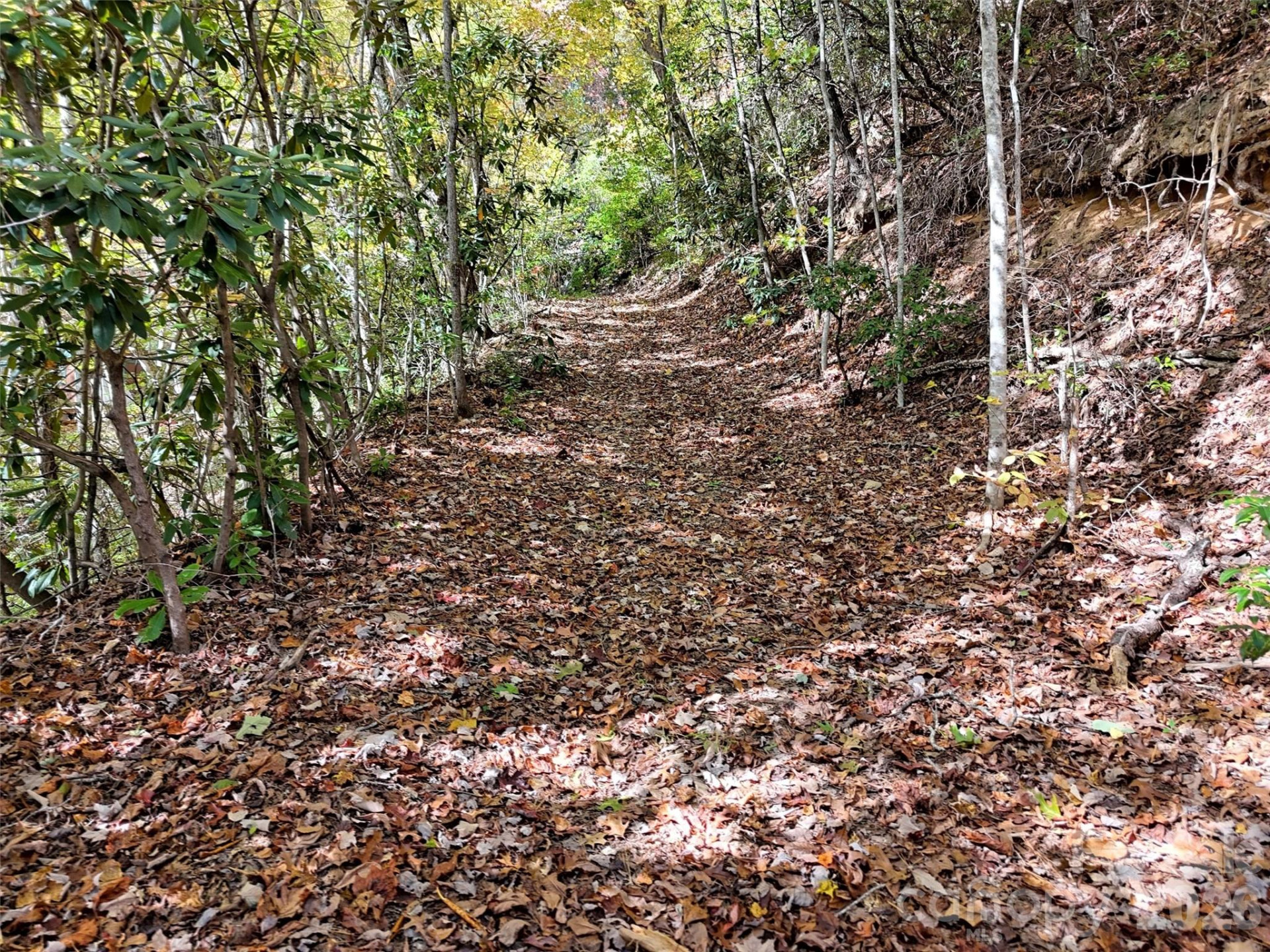 0 Mack Luke Road #6 - Photo 12