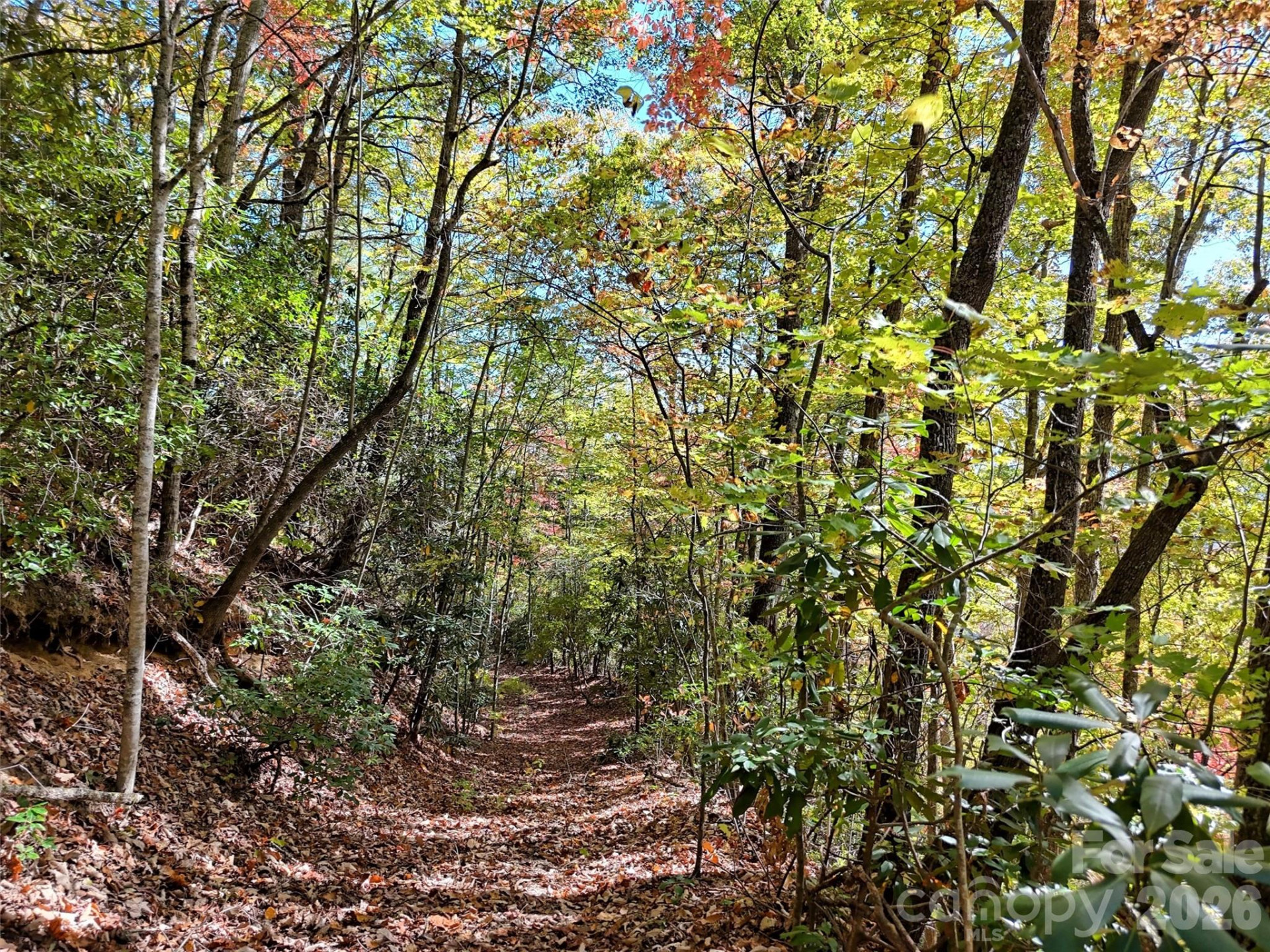 0 Mack Luke Road #6 - Photo 13