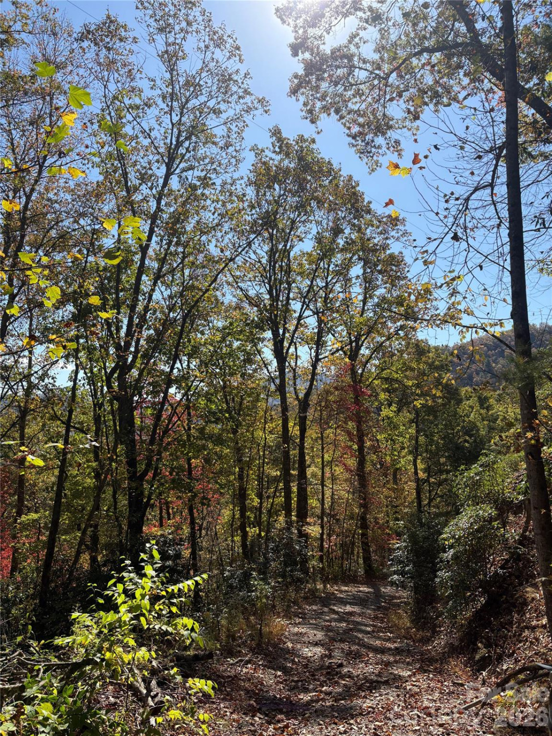 0 Mack Luke Road #6 - Photo 19