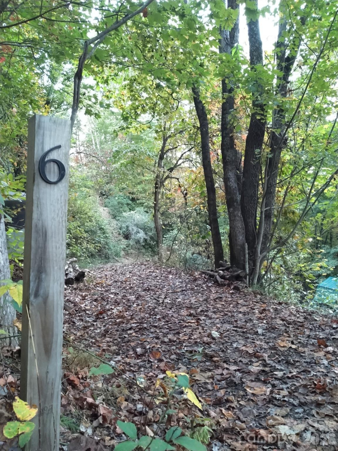 0 Mack Luke Road #6 - Photo 20