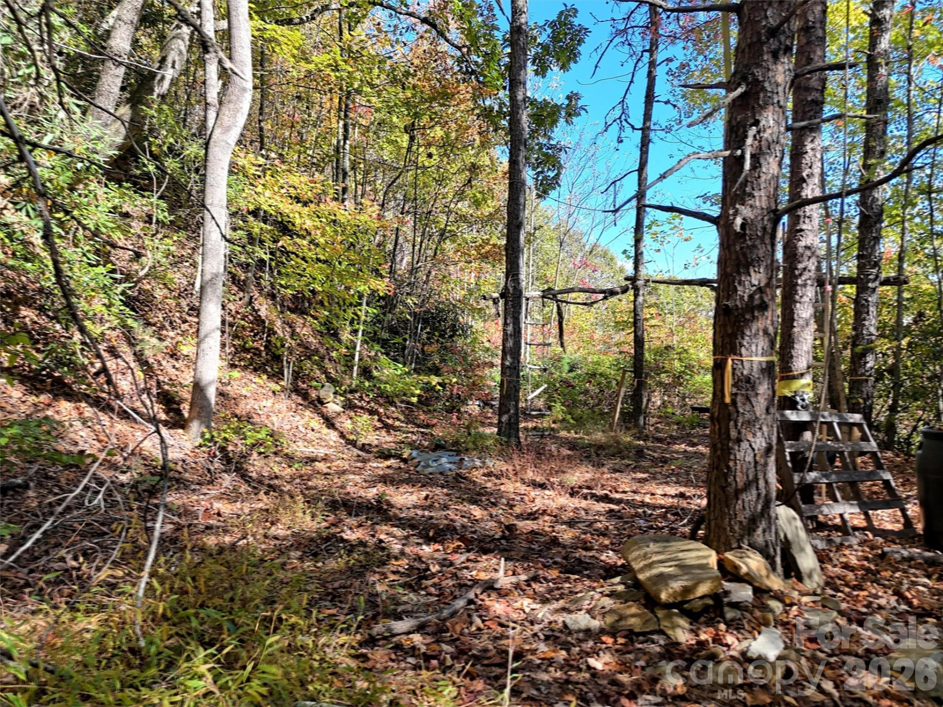 0 Mack Luke Road #6 - Photo 3