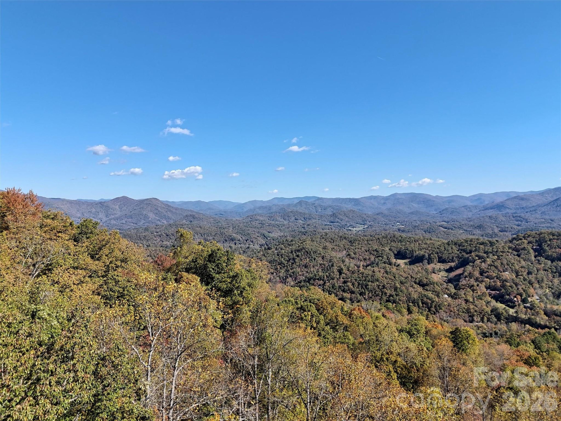 0 Mack Luke Road #6 - Photo 4