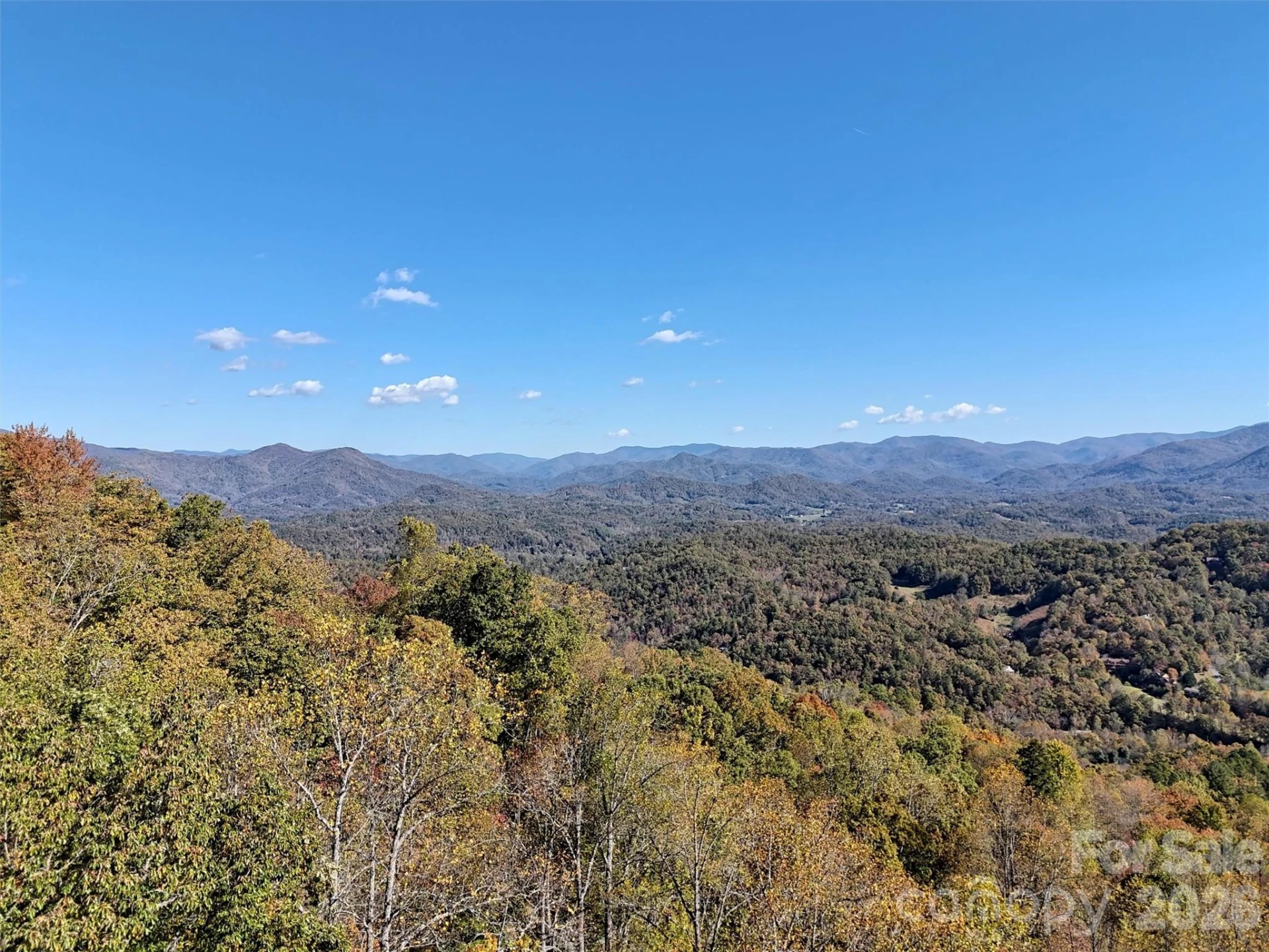 0 Mack Luke Road #6 - Photo 4