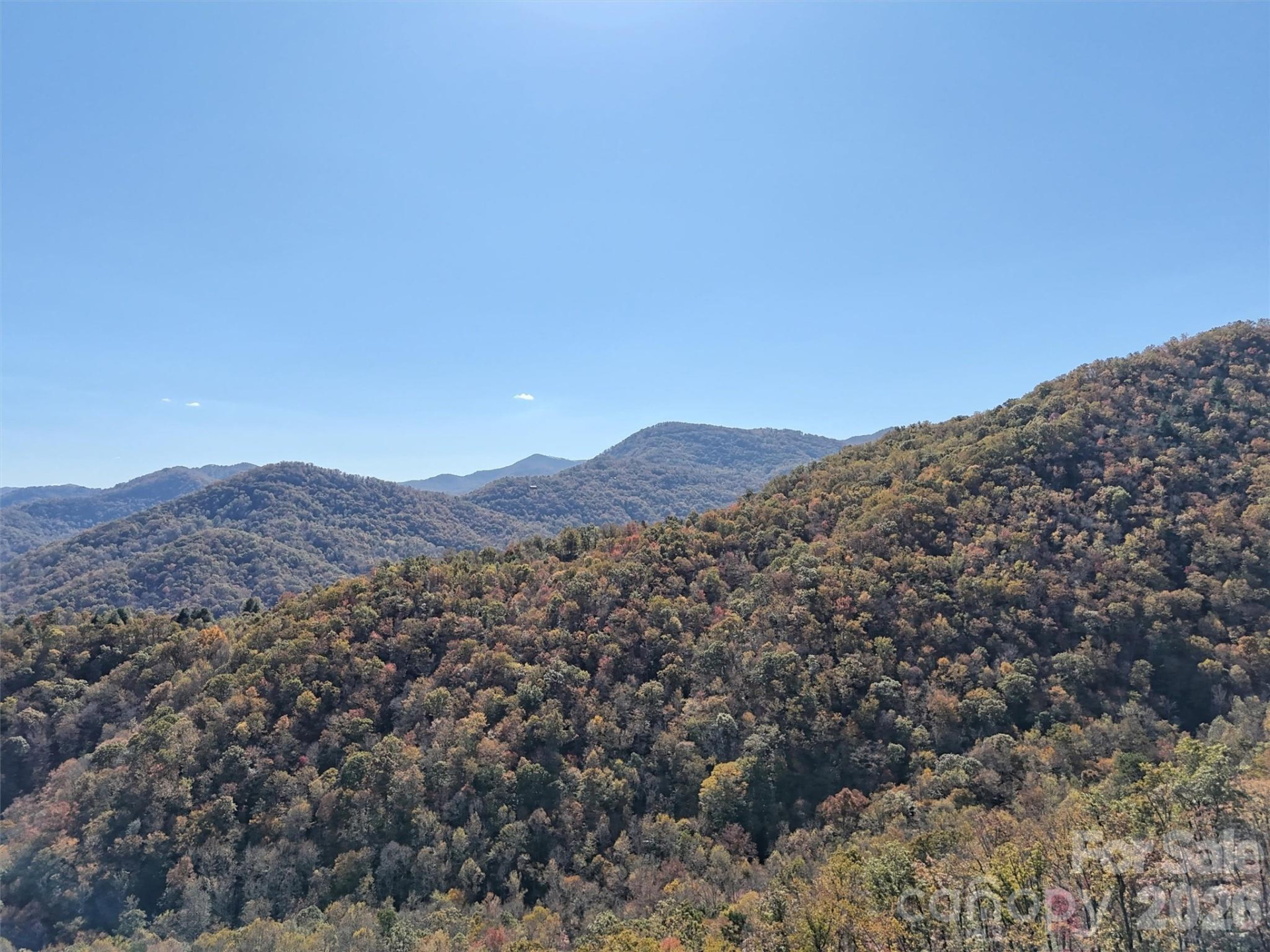 0 Mack Luke Road #6 - Photo 5