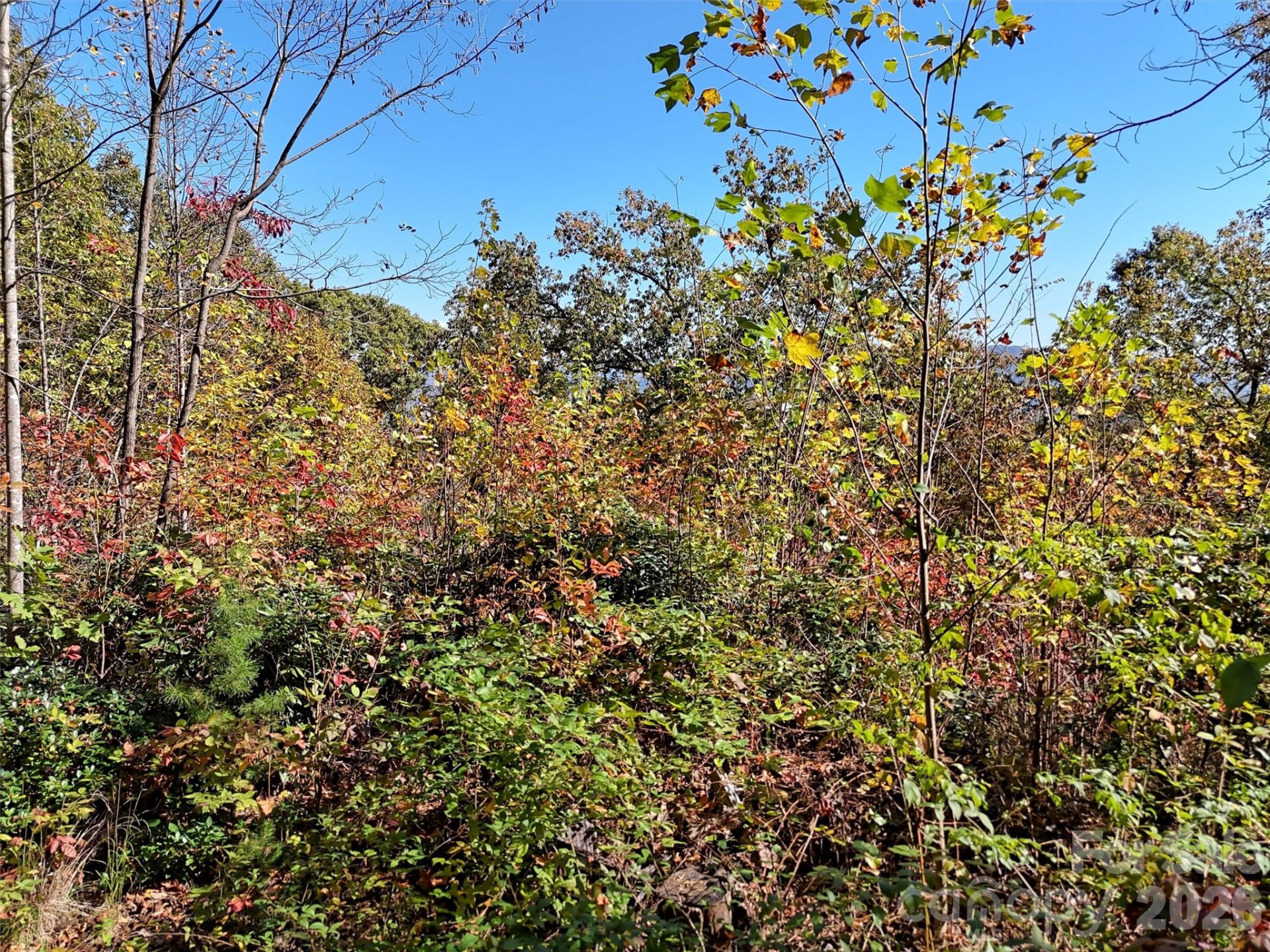 0 Mack Luke Road #6 - Photo 8