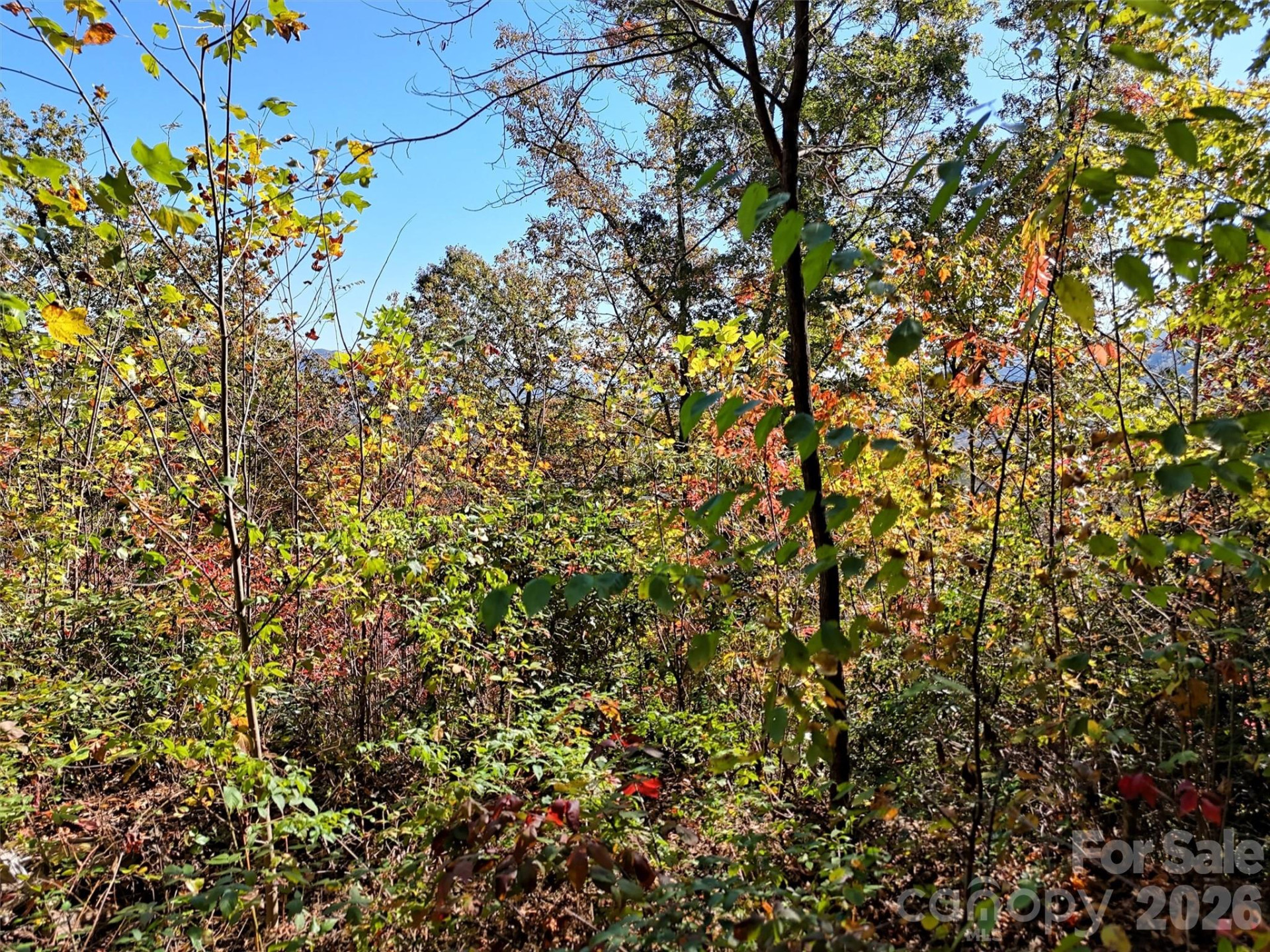 0 Mack Luke Road #6 - Photo 9