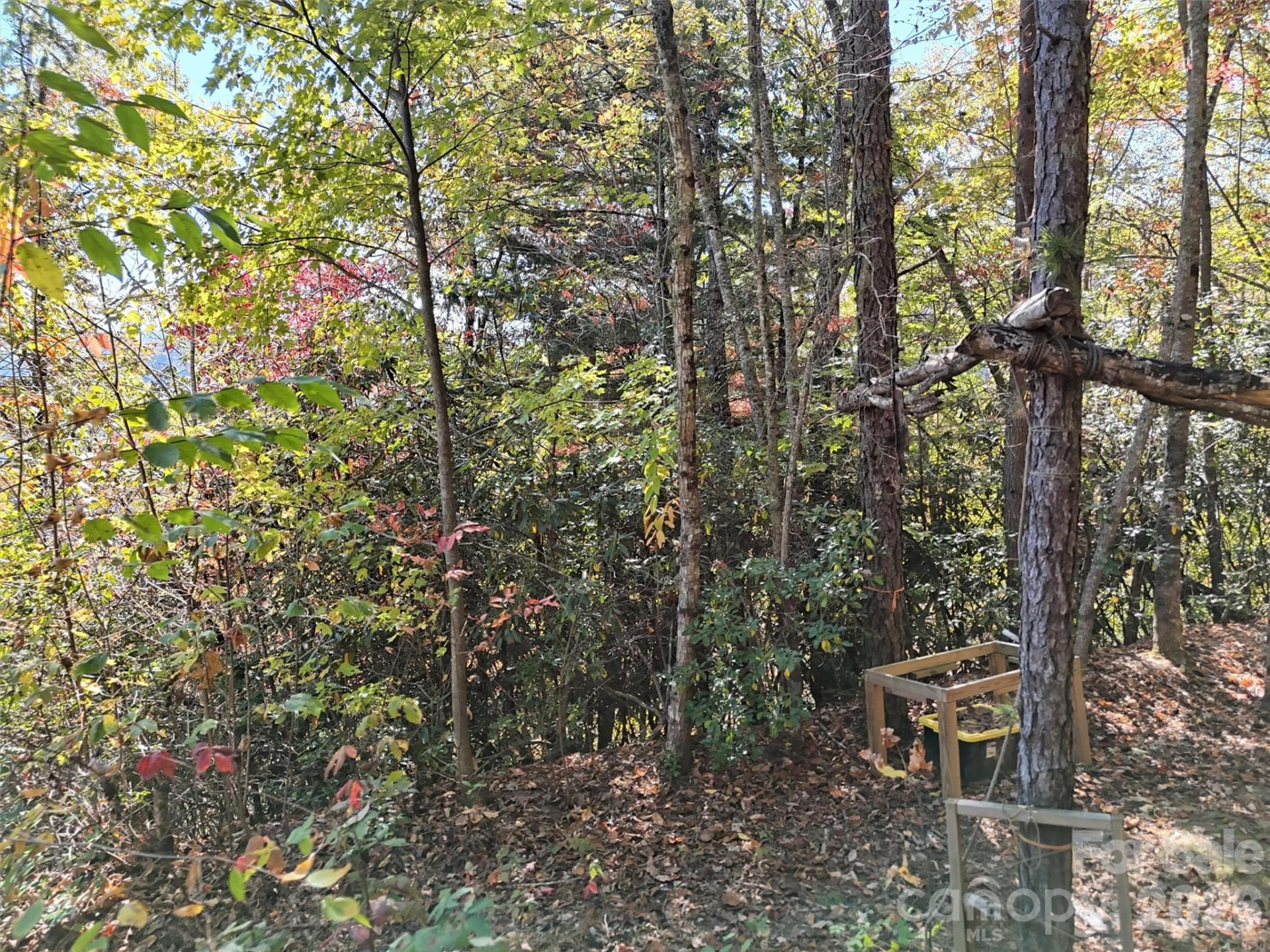 0 Mack Luke Road #6 - Photo 10