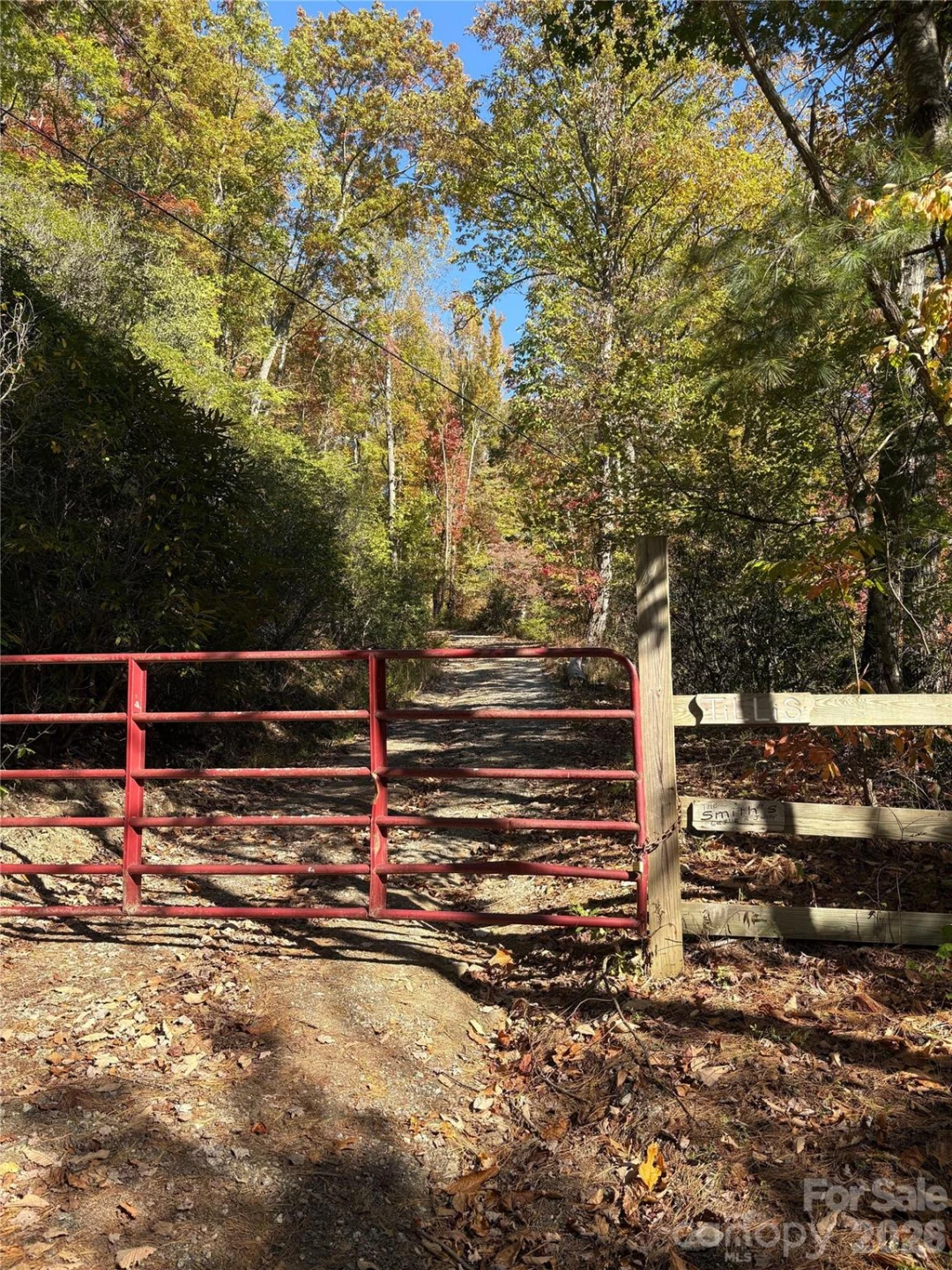00 Mack Luke Road #7 - Photo 13