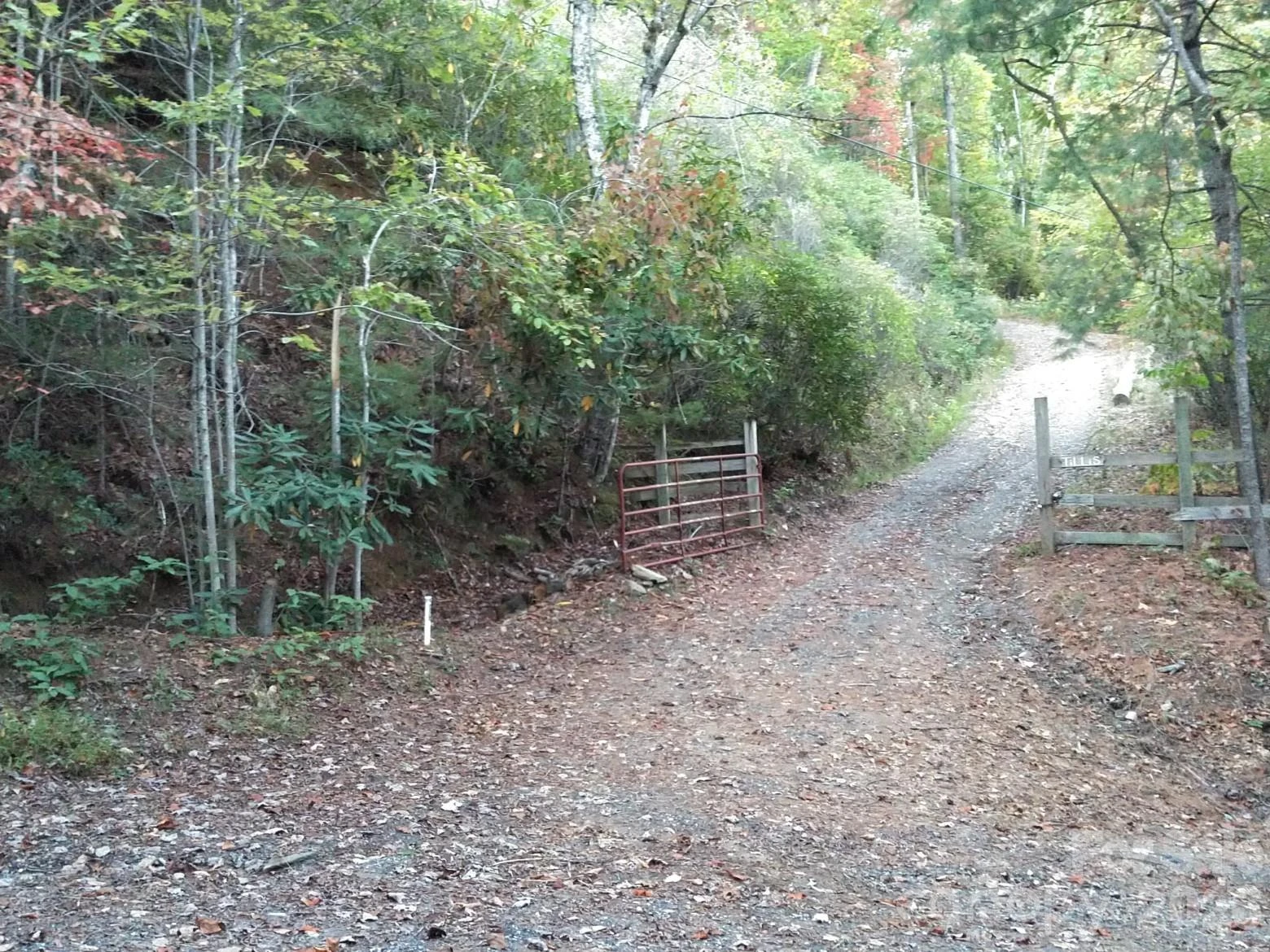 00 Mack Luke Road #7 - Photo 14