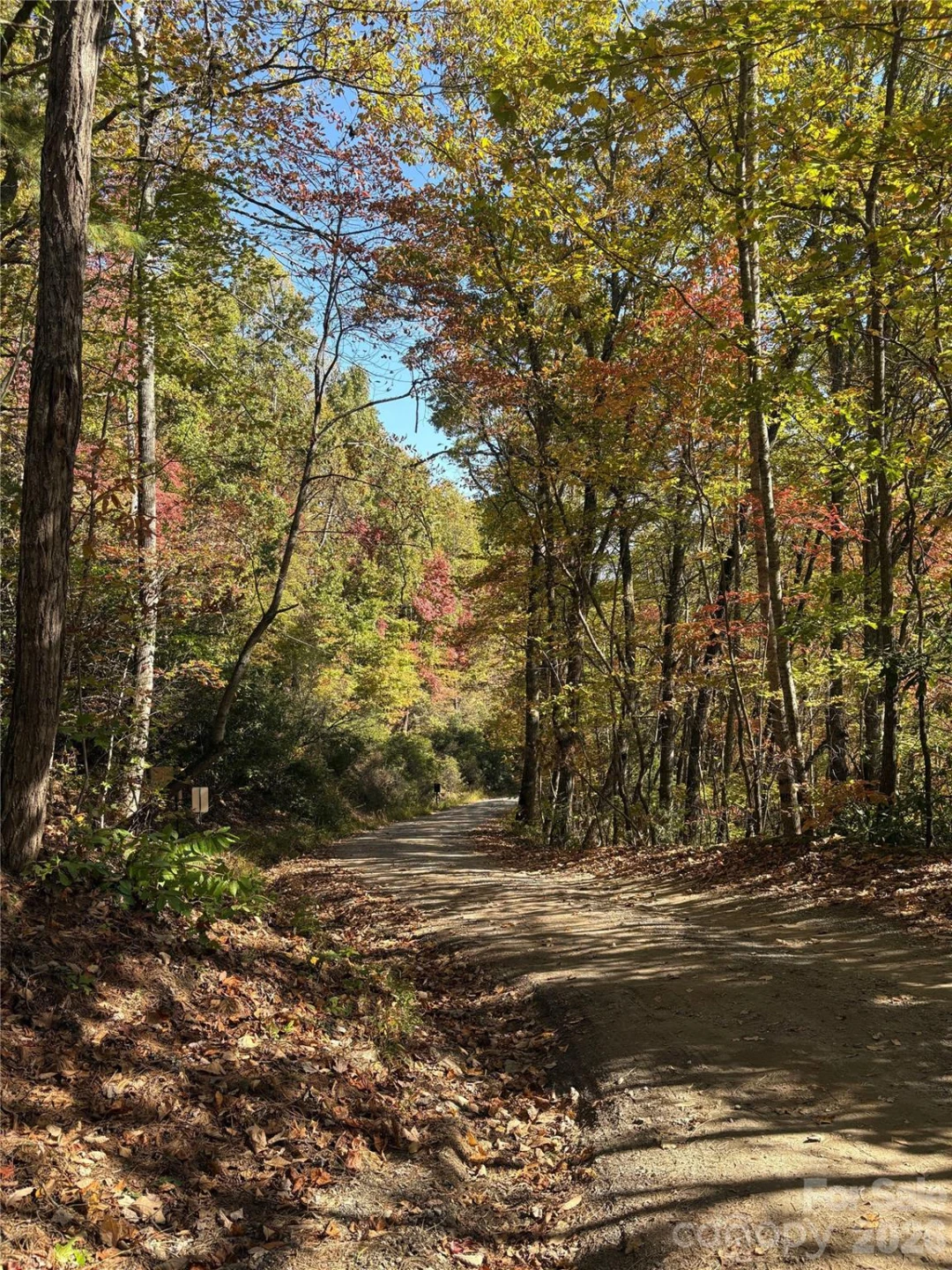 00 Mack Luke Road #7 - Photo 15
