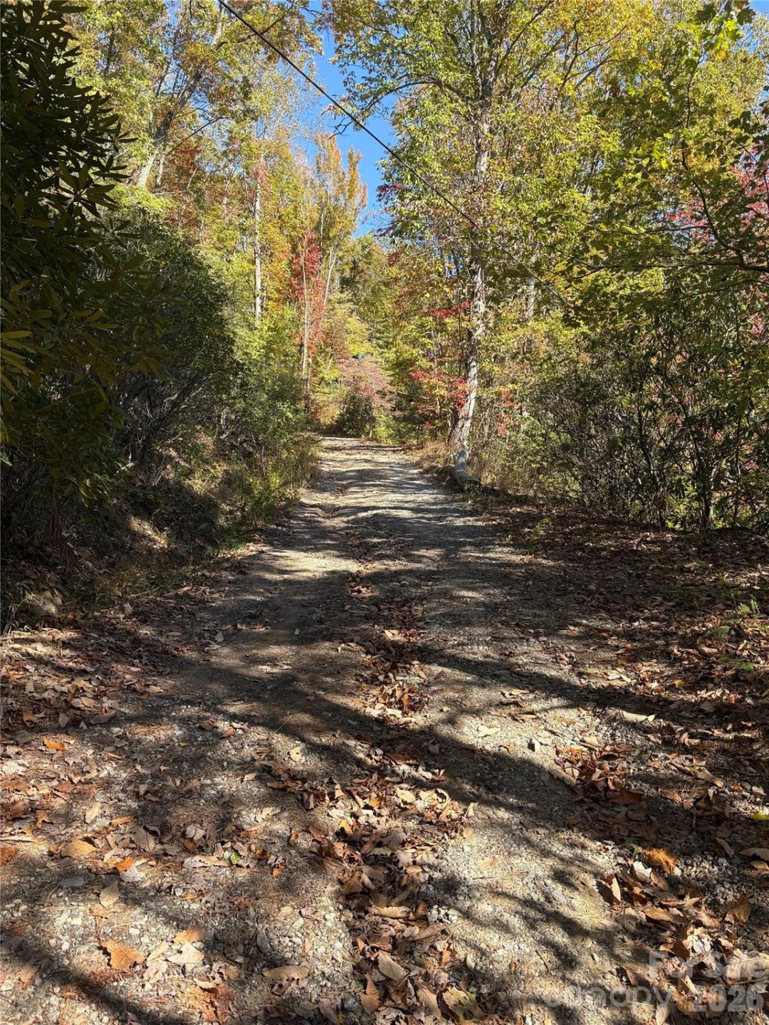 00 Mack Luke Road #7 - Photo 16