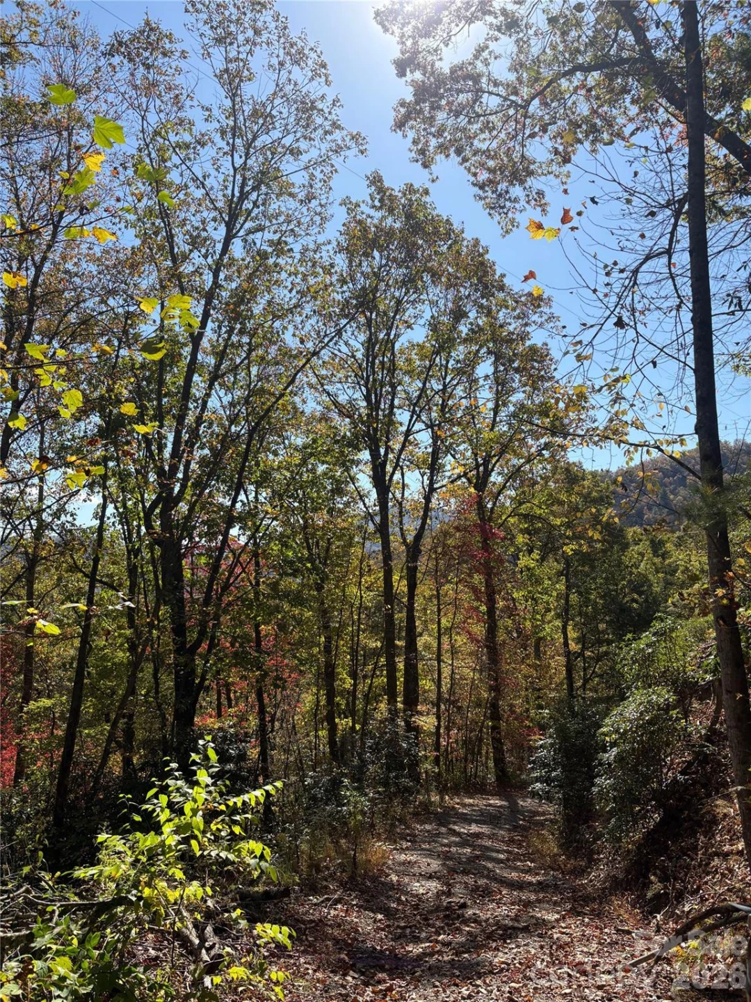 00 Mack Luke Road #7 - Photo 17