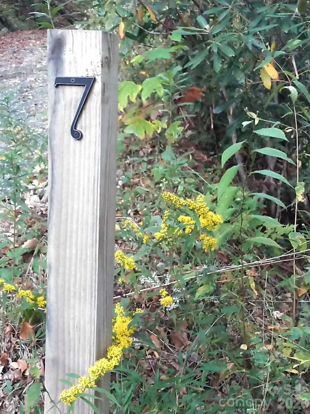 00 Mack Luke Road #7 - Photo 18