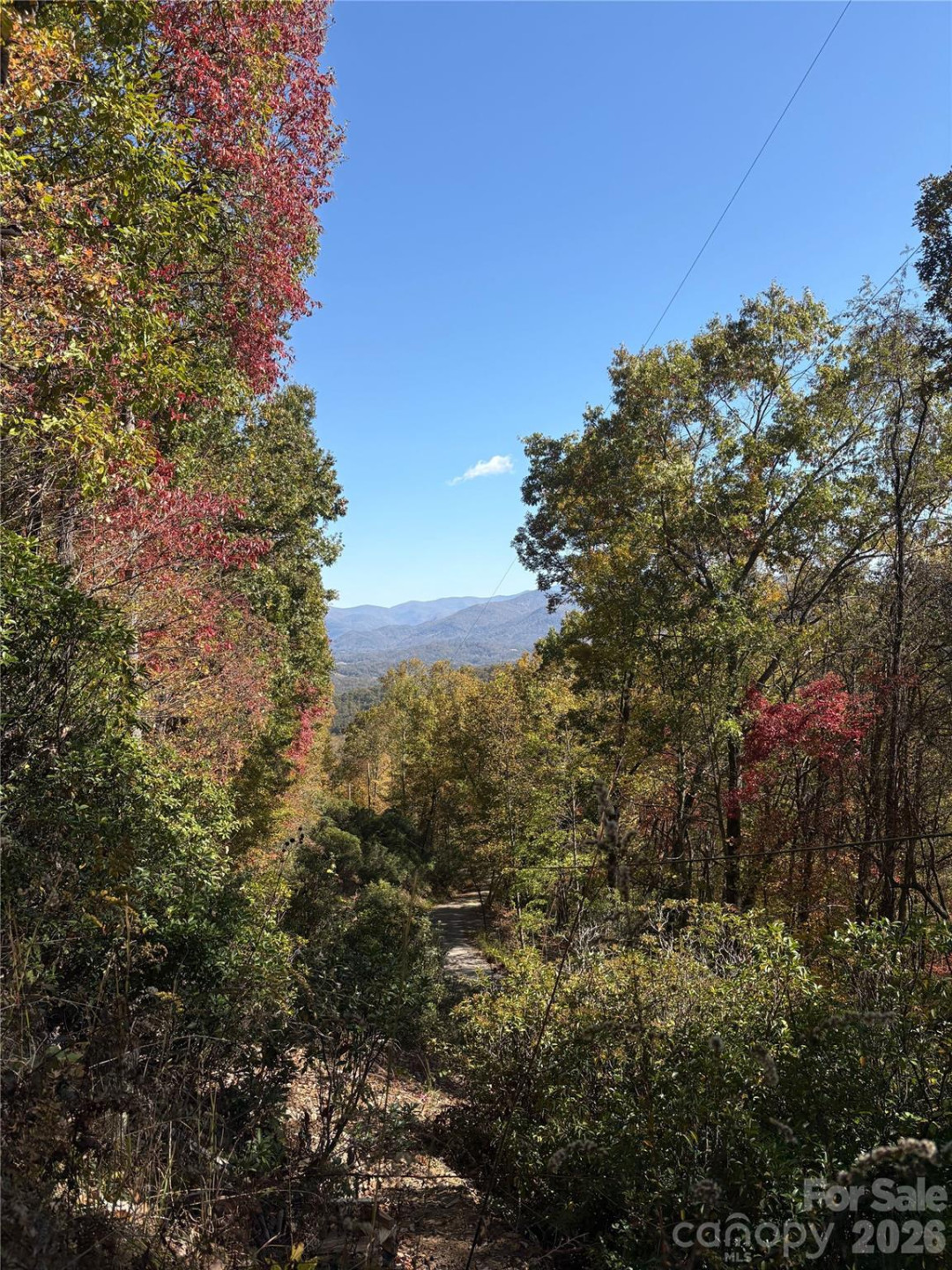 00 Mack Luke Road #7 - Photo 19