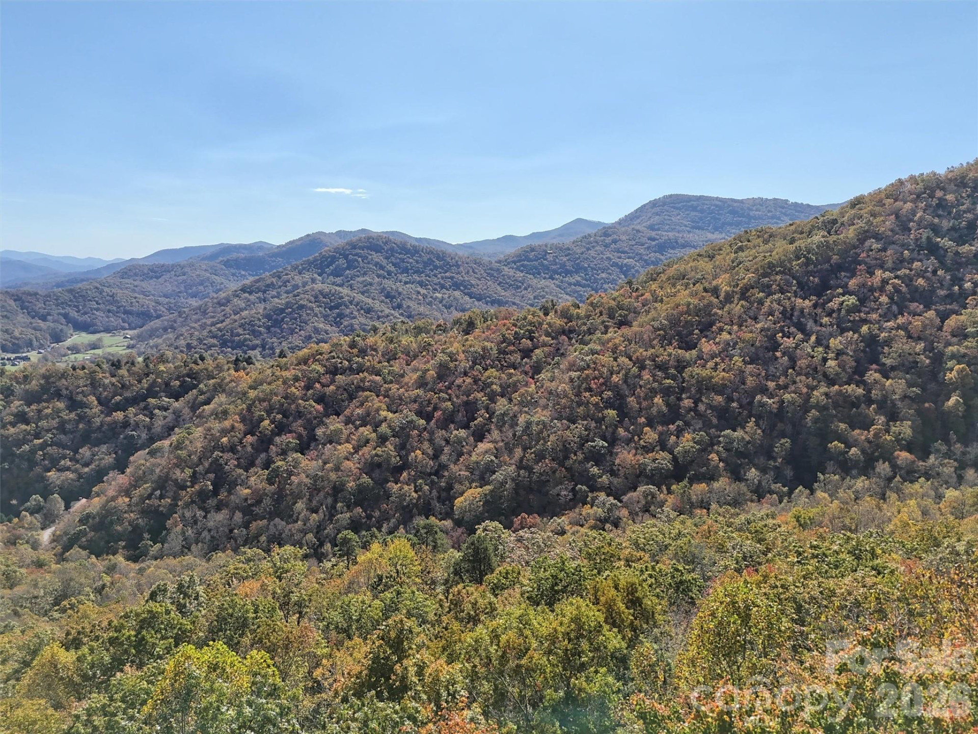 00 Mack Luke Road #7 - Photo 3