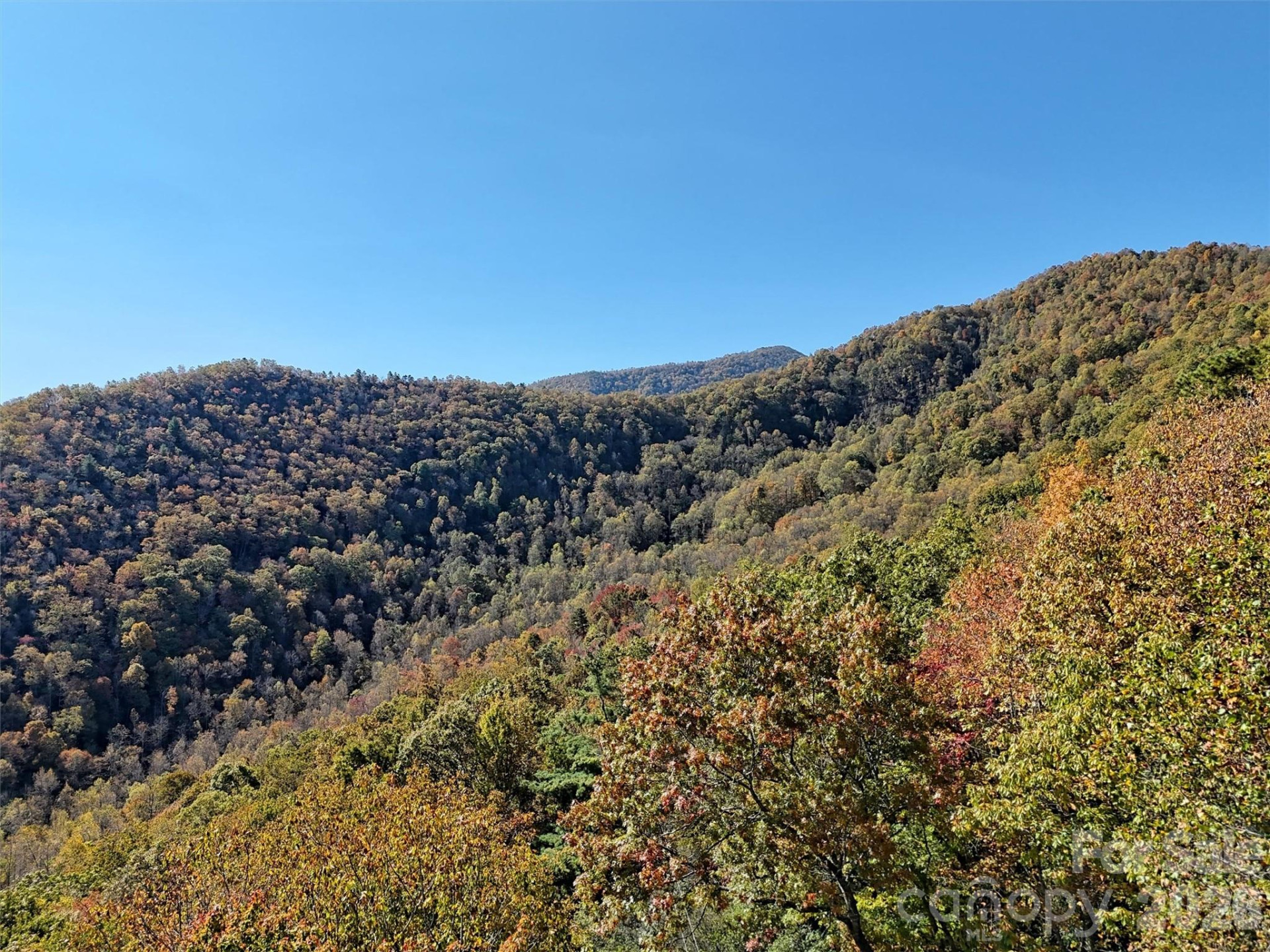 00 Mack Luke Road #7 - Photo 4