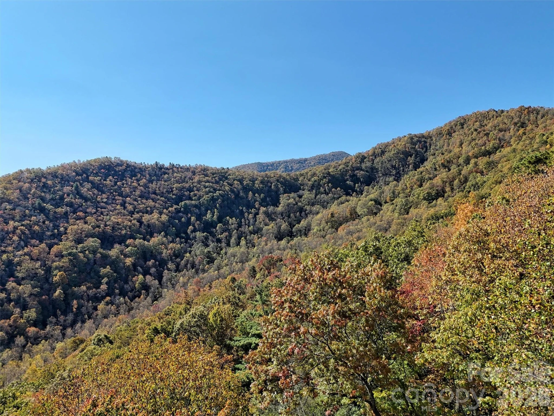 00 Mack Luke Road #7 - Photo 4
