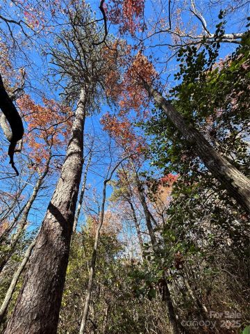 Lot 3 and 4 Oriole Road