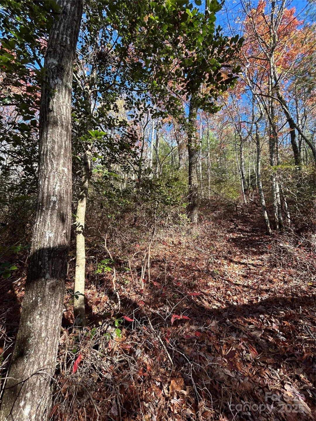Lot 3 and 4 Oriole Road - Photo 2