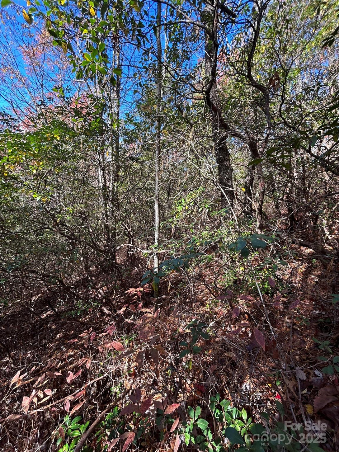 Lot 3 and 4 Oriole Road - Photo 4