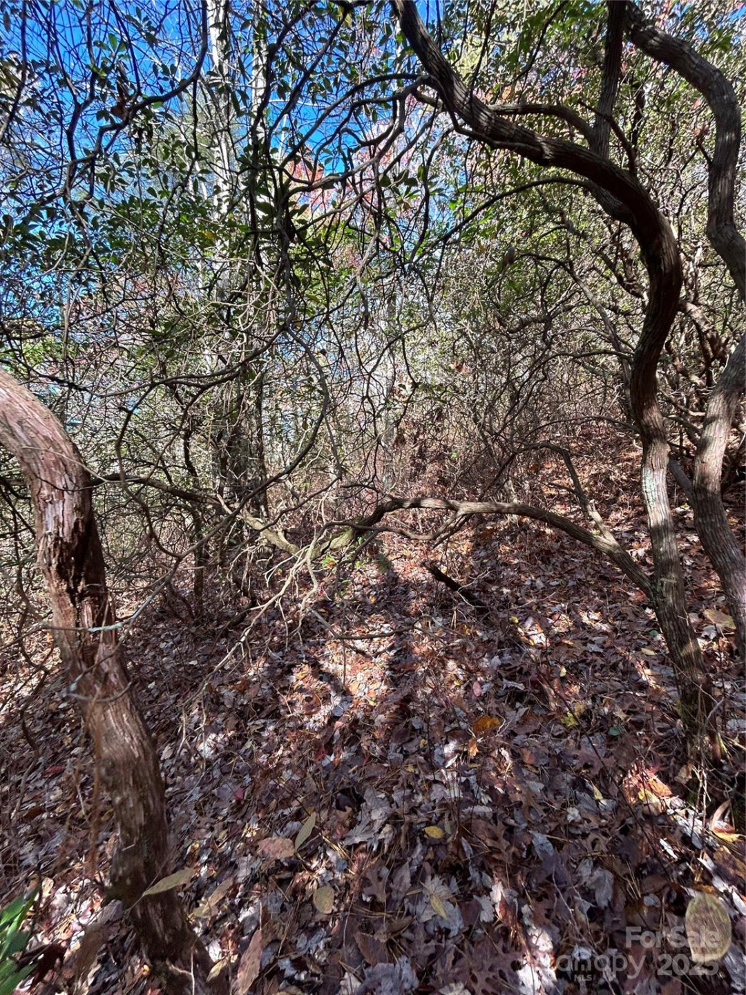 Lot 3 and 4 Oriole Road - Photo 5