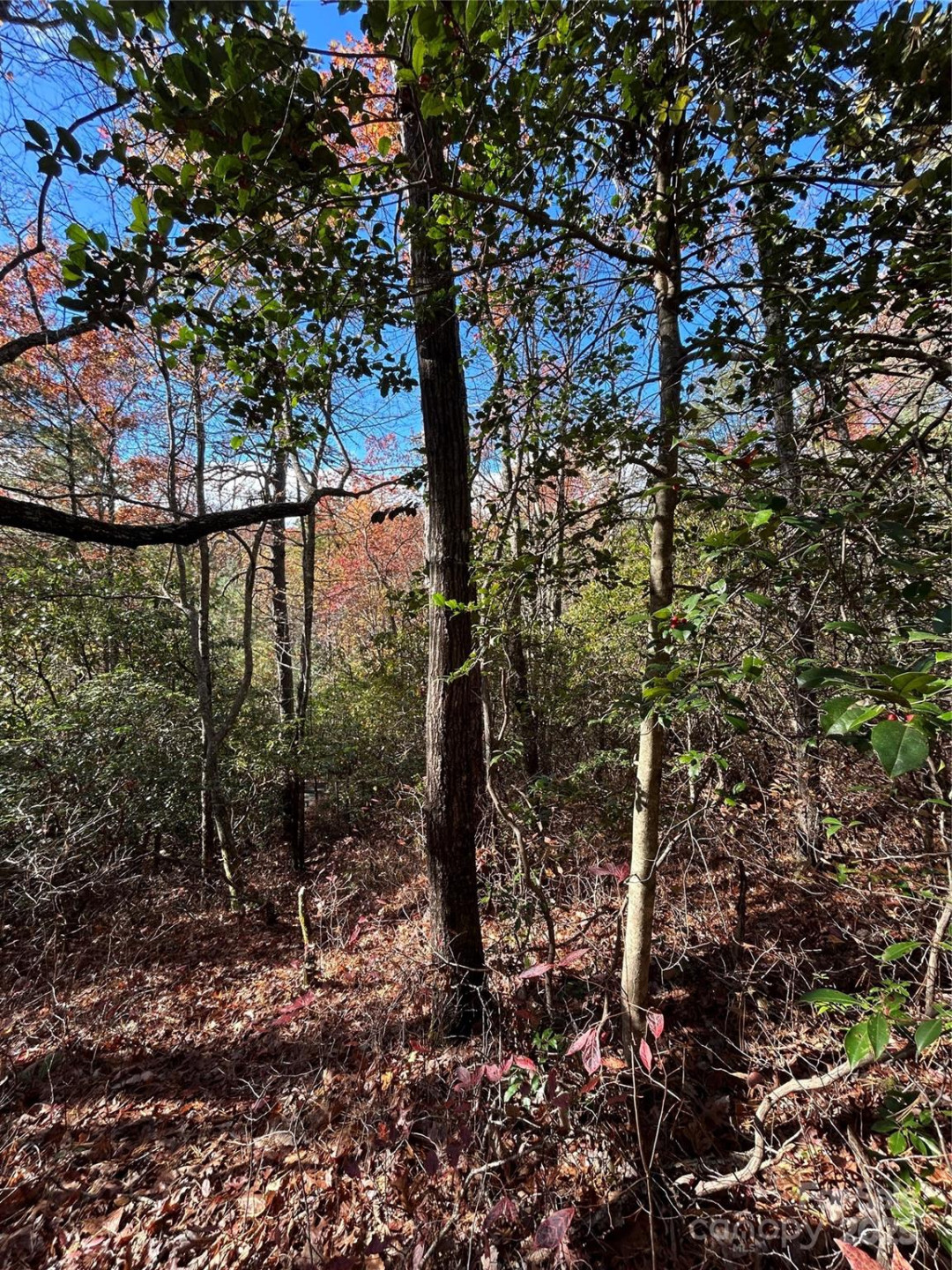 Lot 3 and 4 Oriole Road - Photo 7