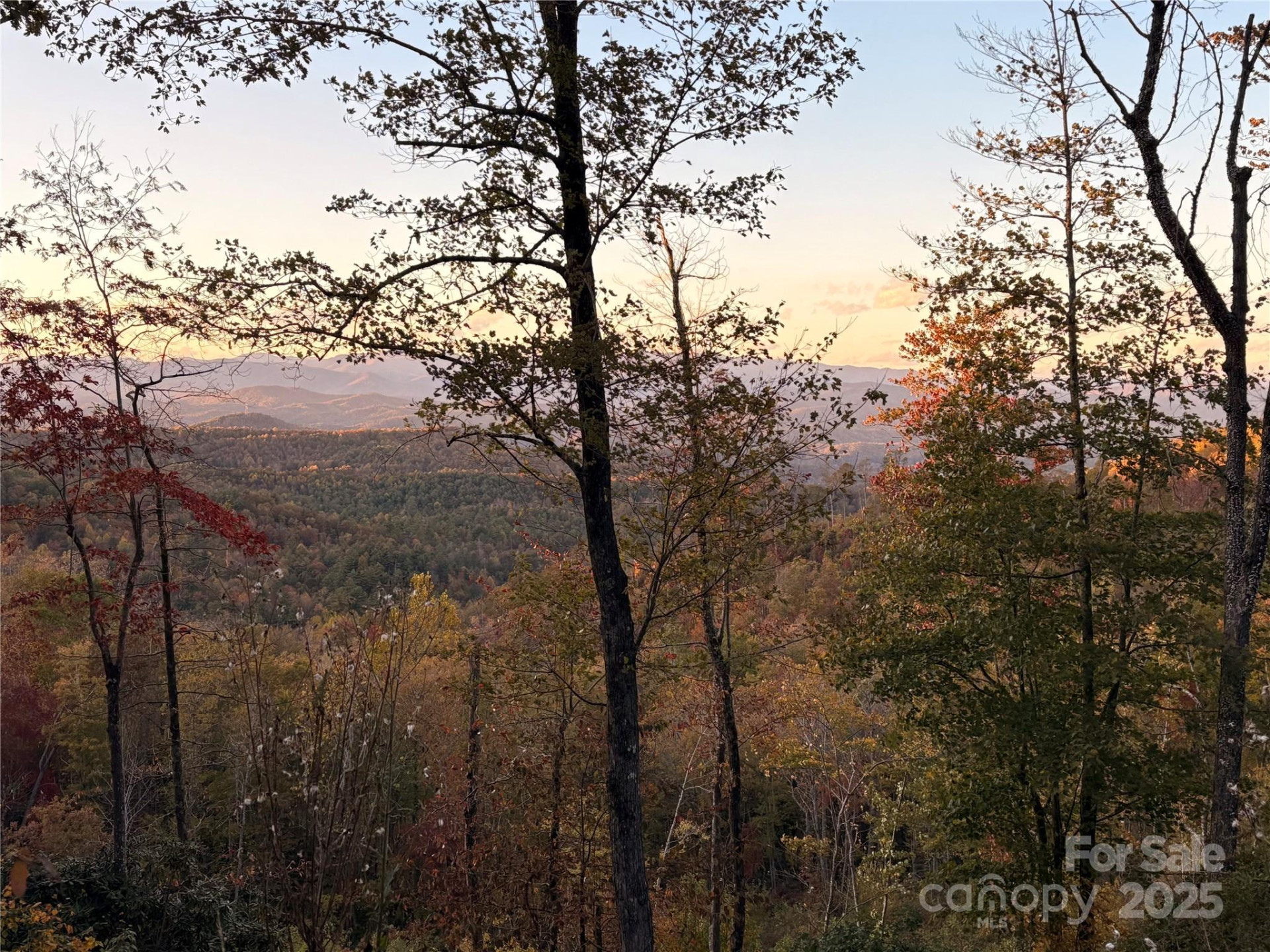 2053 Nancy Mountain Road - Photo 8