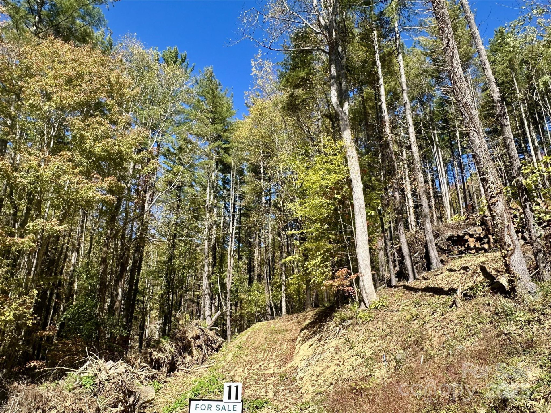 11 Freshwater Cove - Photo 2