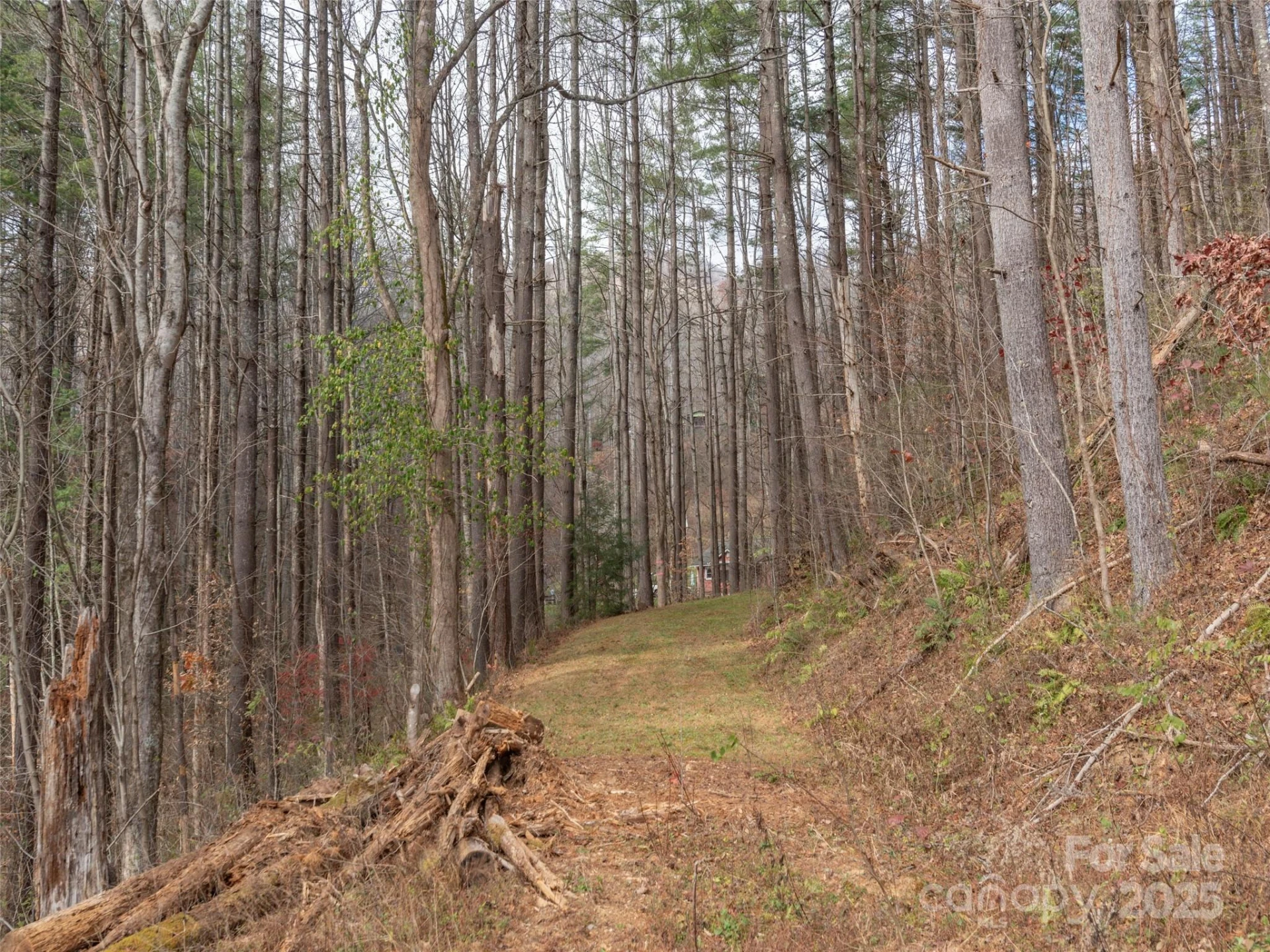 11 Freshwater Cove - Photo 11
