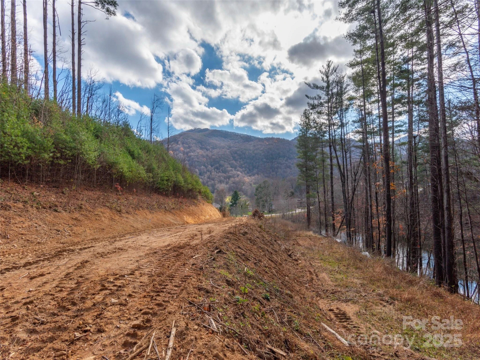 11 Freshwater Cove - Photo 9