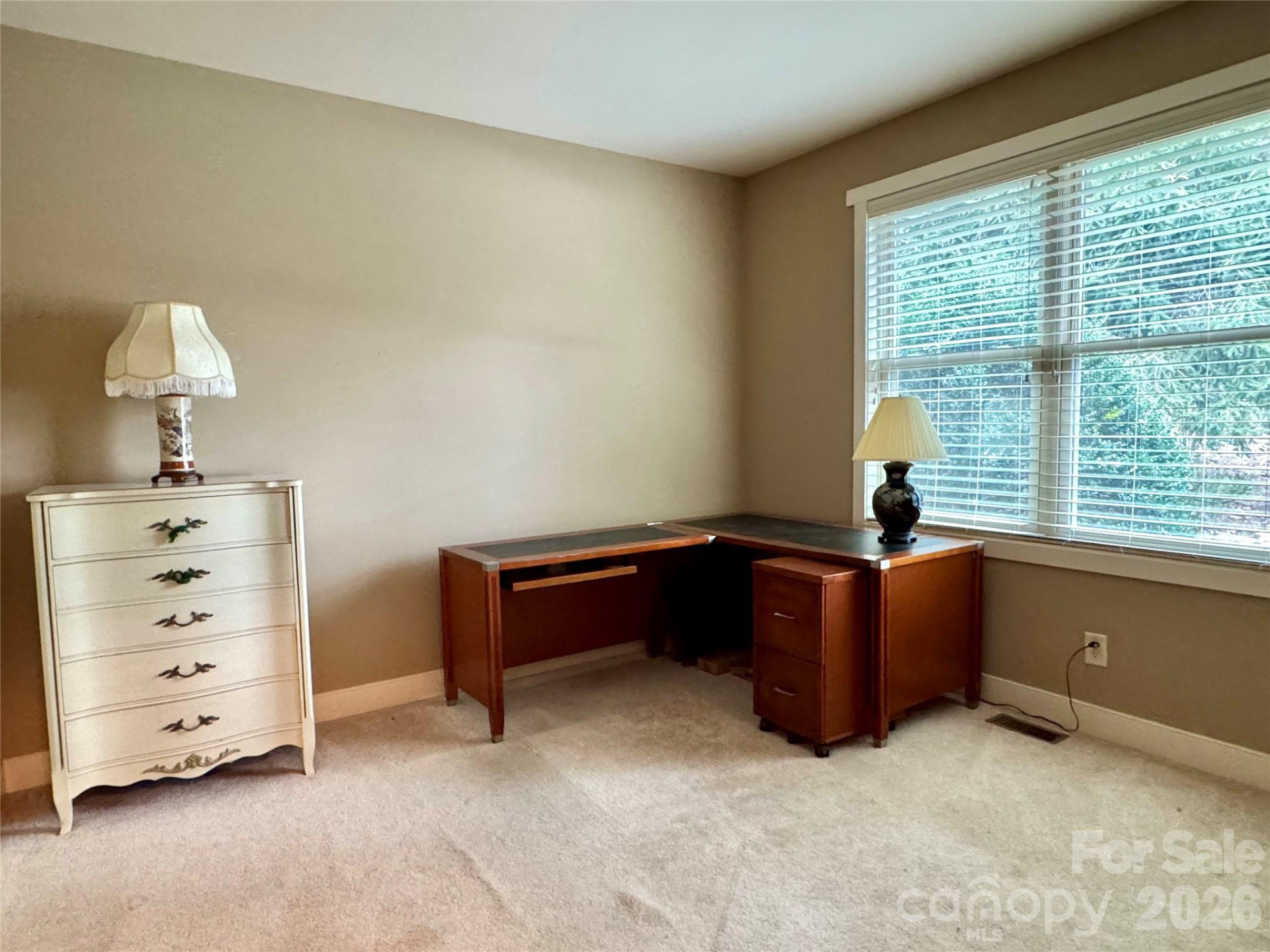 894 Dunroy Drive - Photo 47