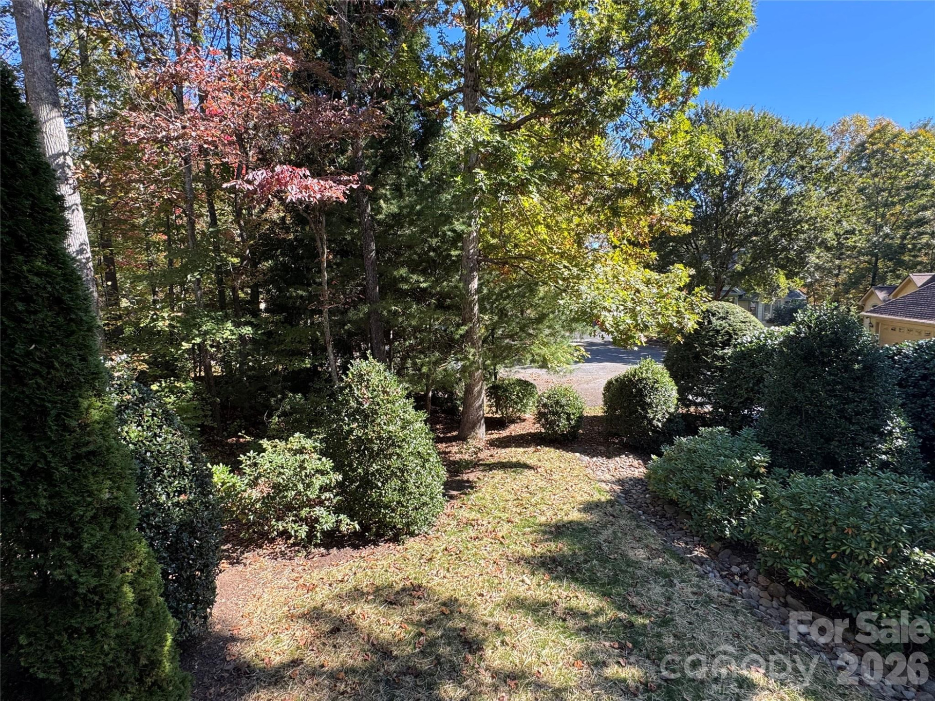 894 Dunroy Drive - Photo 9