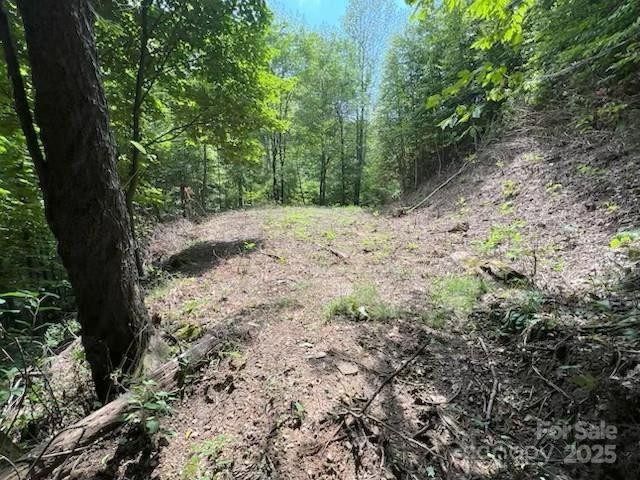 355 Moonshineholler Drive - Photo 11