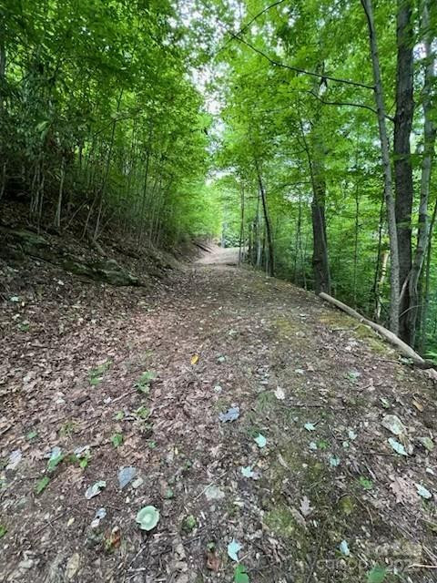 355 Moonshineholler Drive - Photo 12