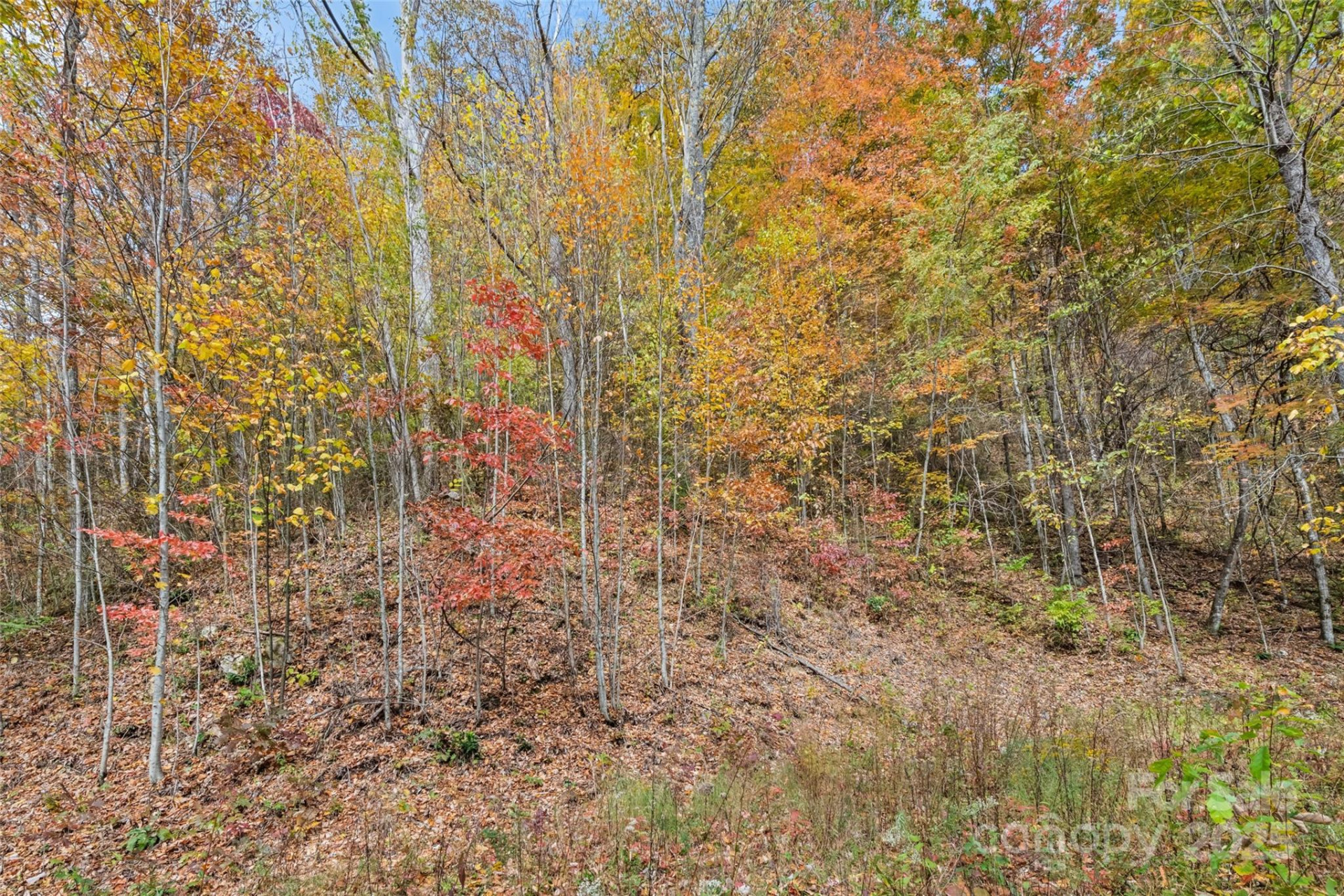 355 Moonshineholler Drive - Photo 14