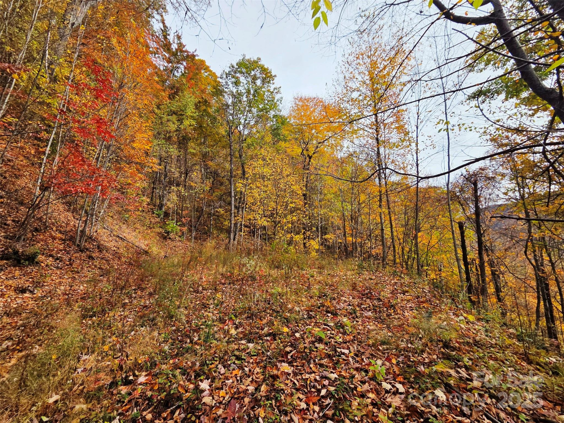 355 Moonshineholler Drive - Photo 15
