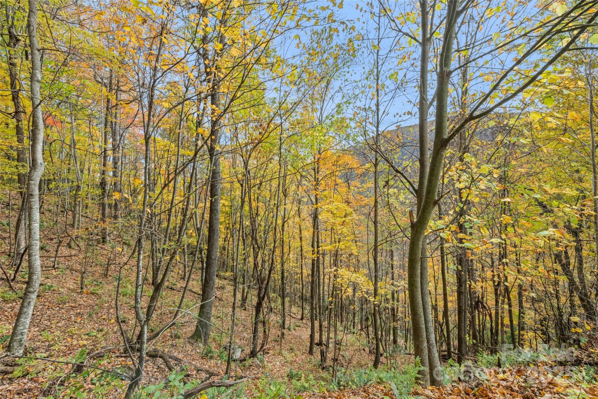 355 Moonshineholler Drive - Photo 17