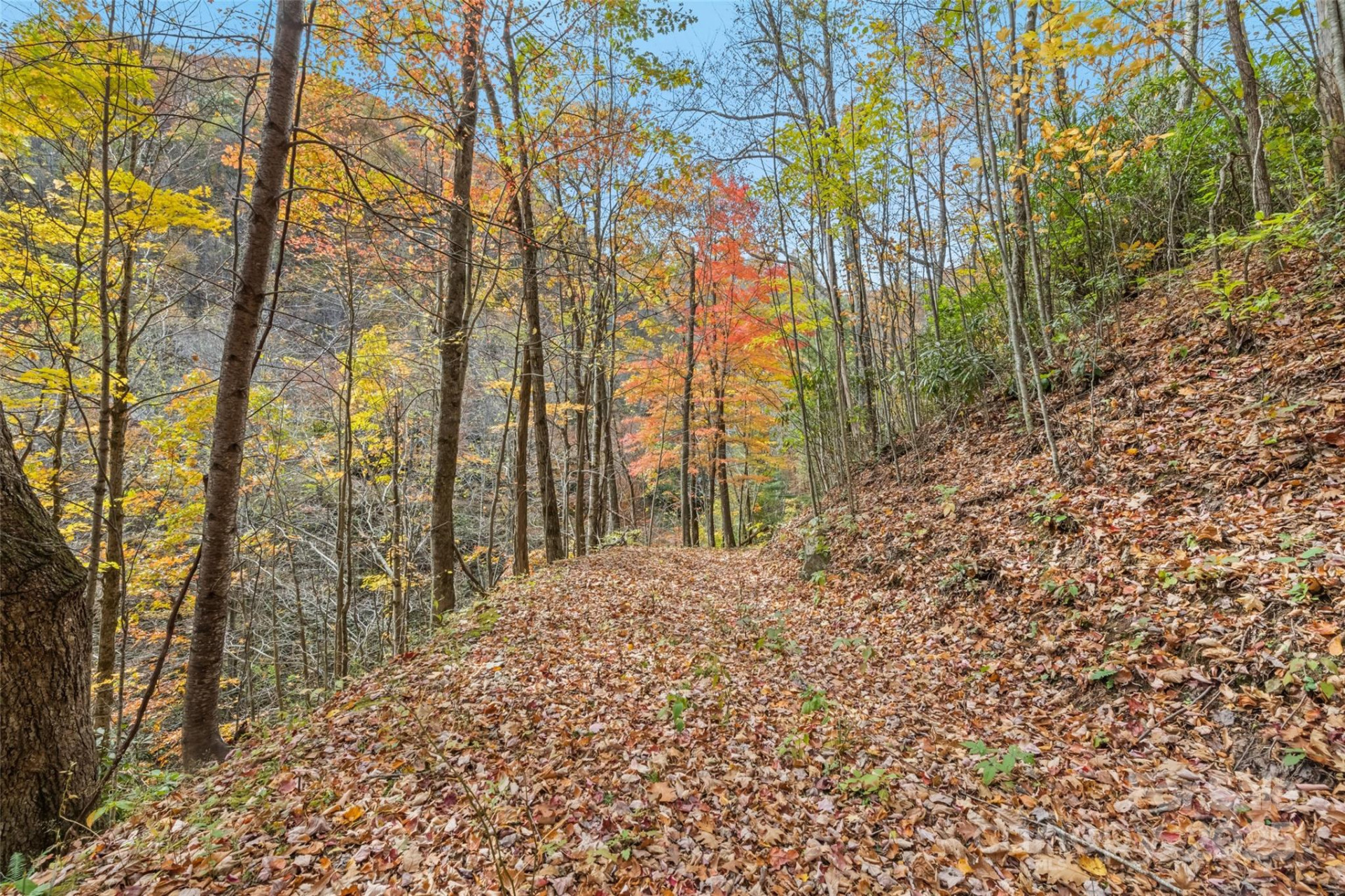 355 Moonshineholler Drive - Photo 21