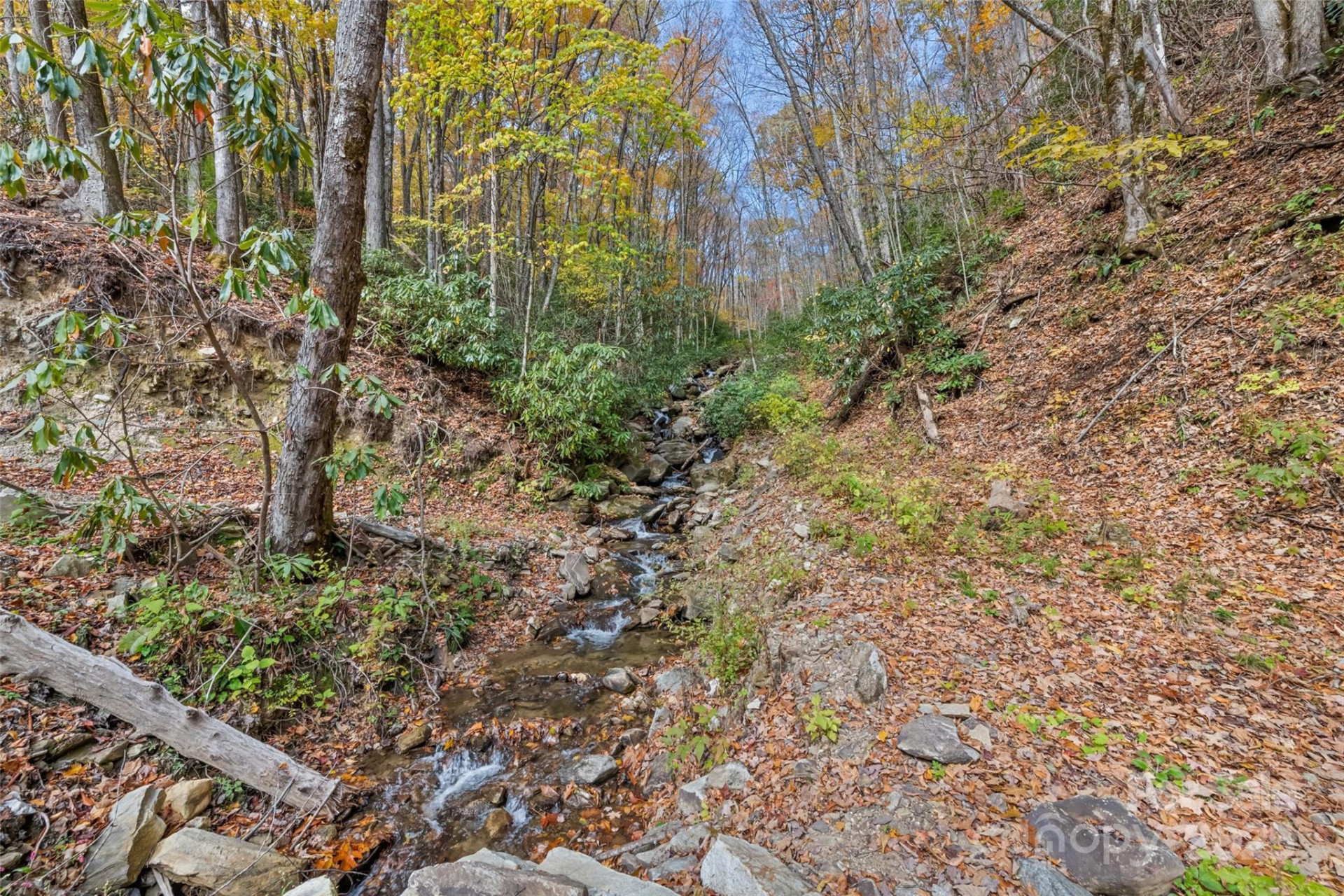 355 Moonshineholler Drive - Photo 22