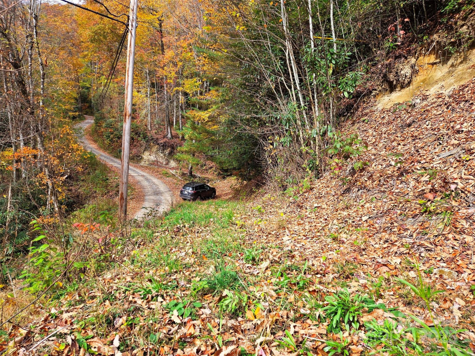 355 Moonshineholler Drive - Photo 5
