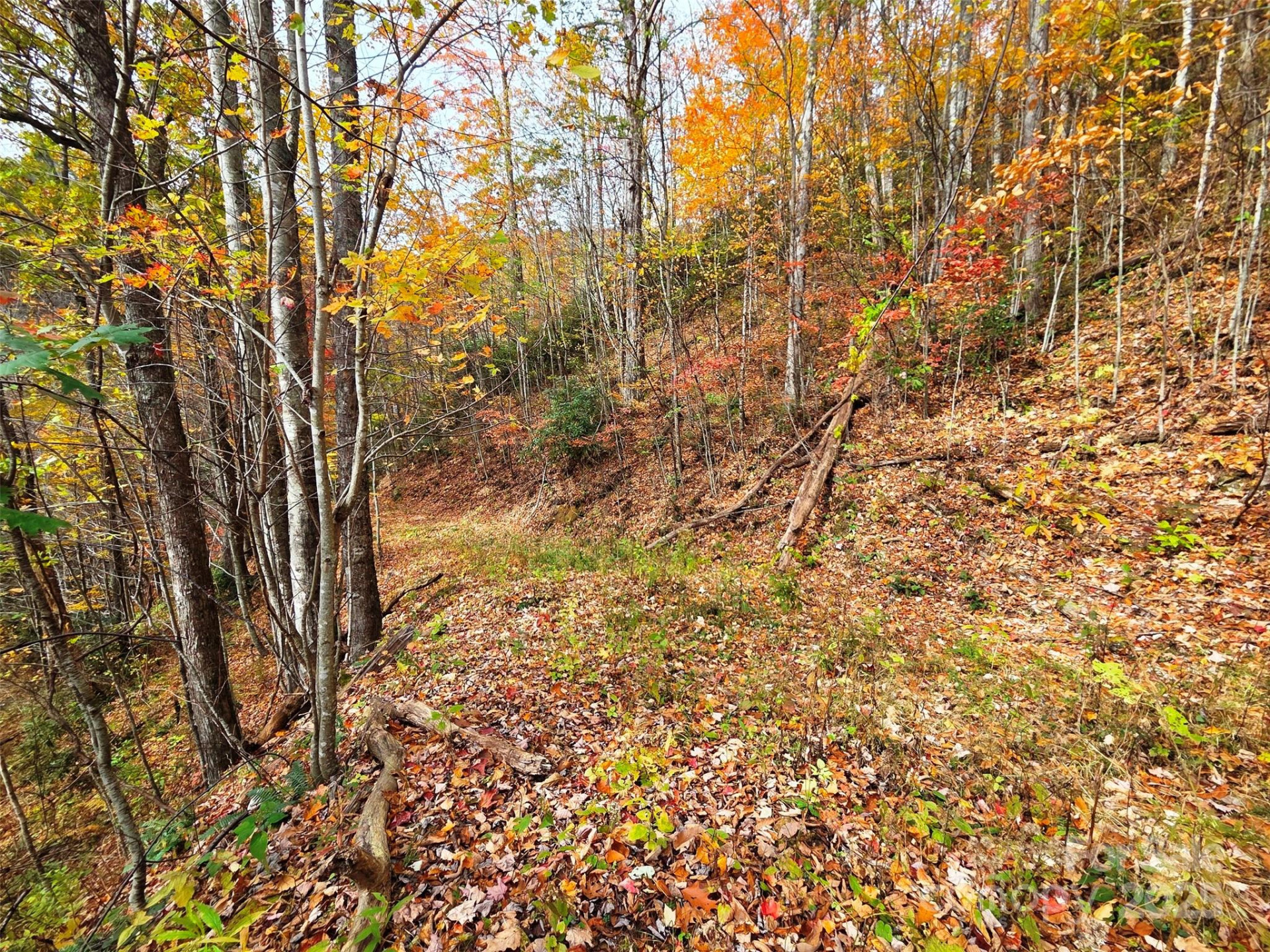 355 Moonshineholler Drive - Photo 9