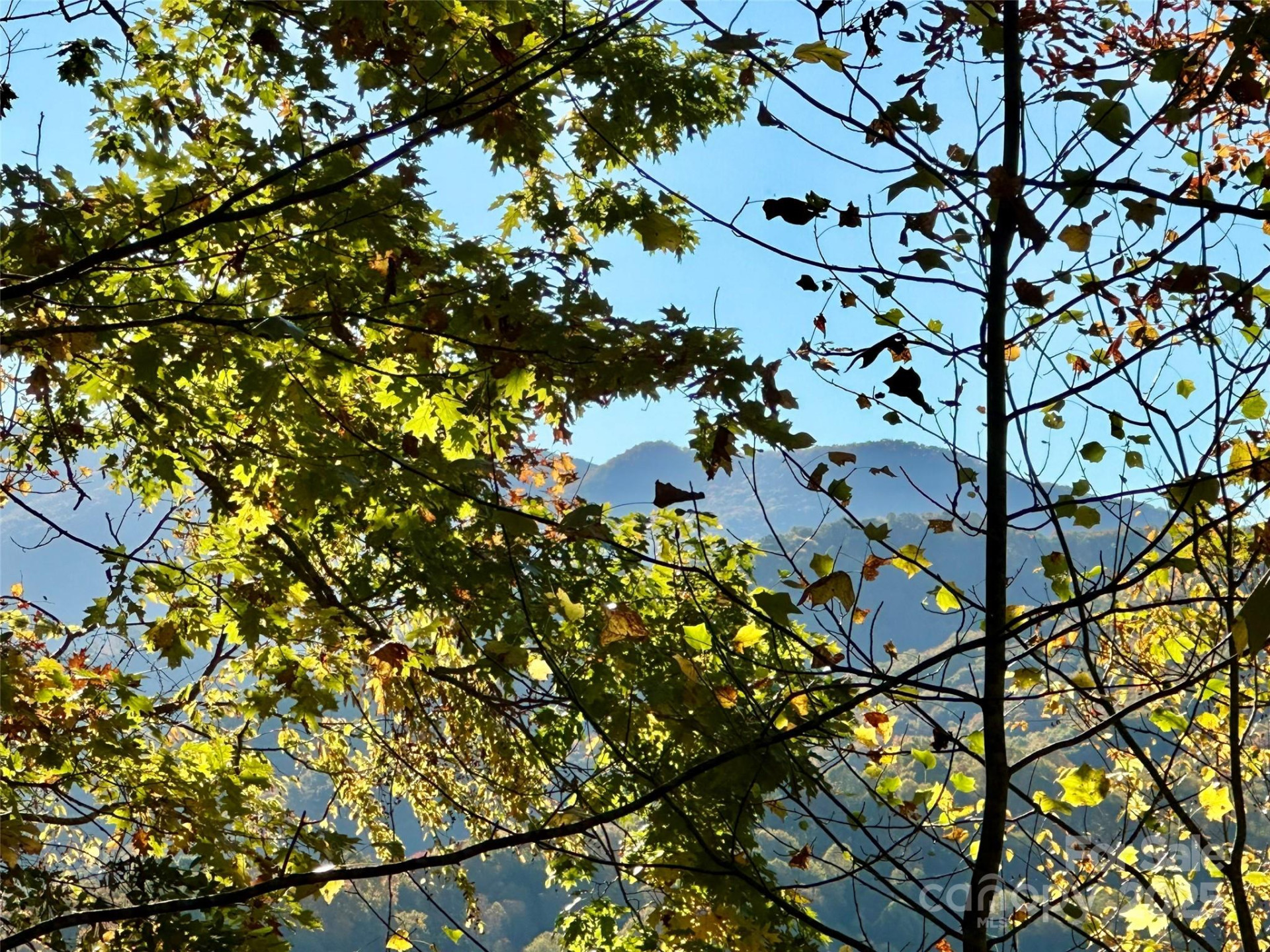 534 Cicada Drive - Photo 11