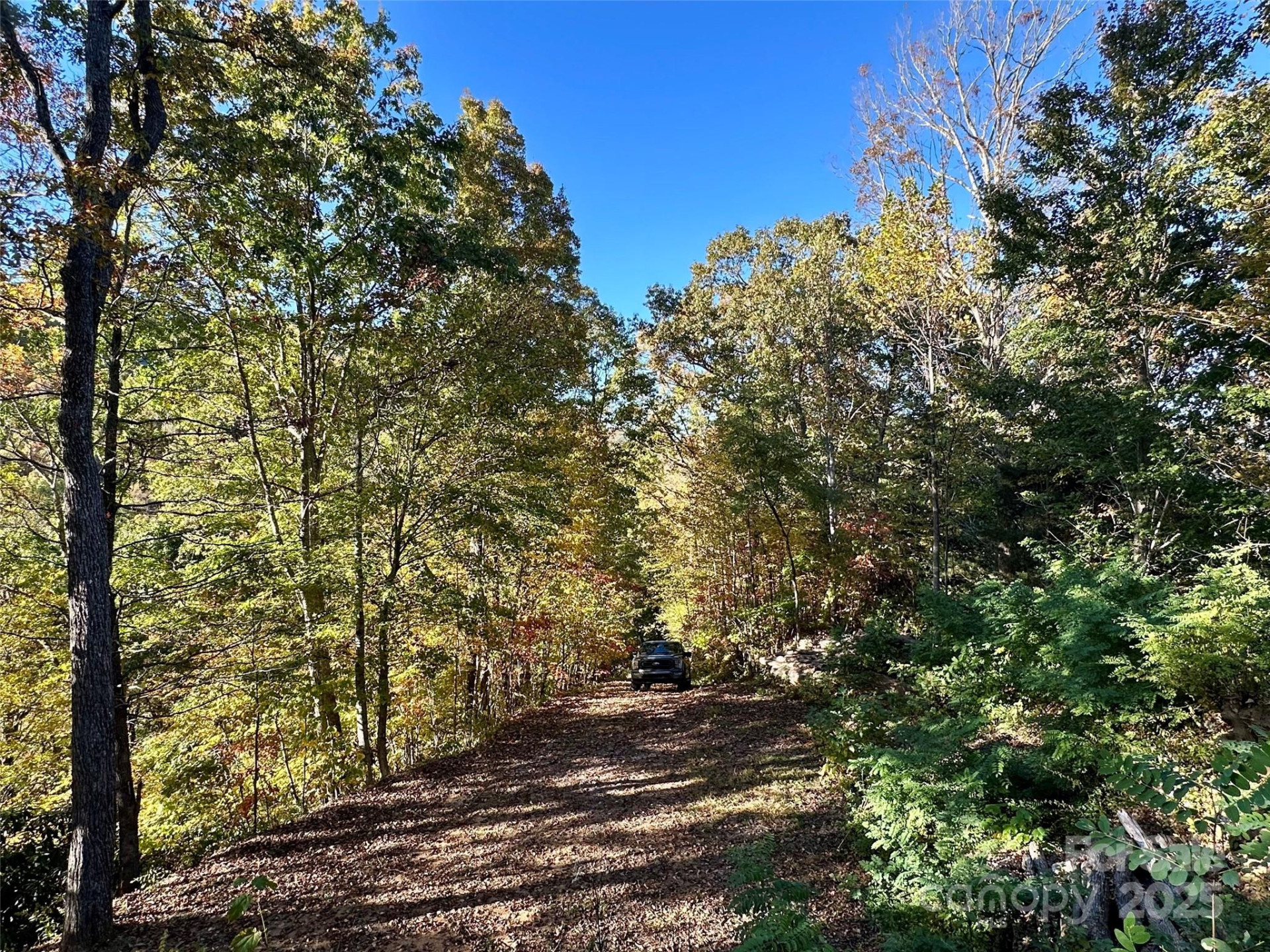 534 Cicada Drive - Photo 16