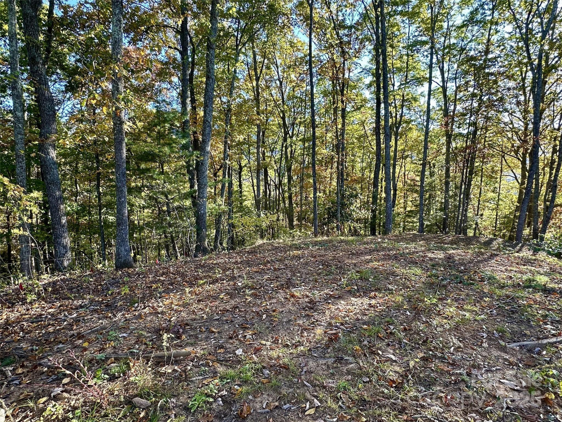 534 Cicada Drive - Photo 3