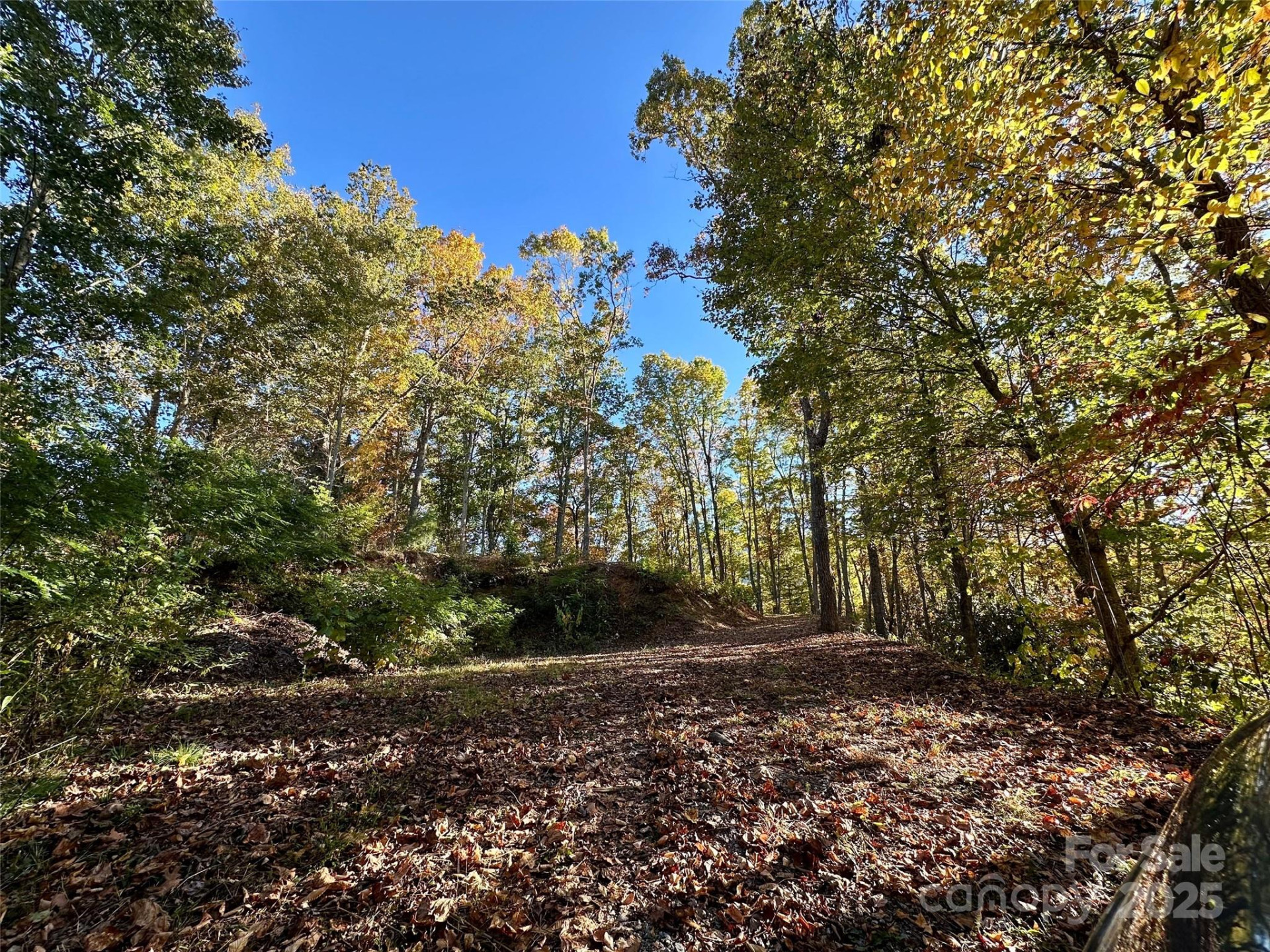 534 Cicada Drive - Photo 4