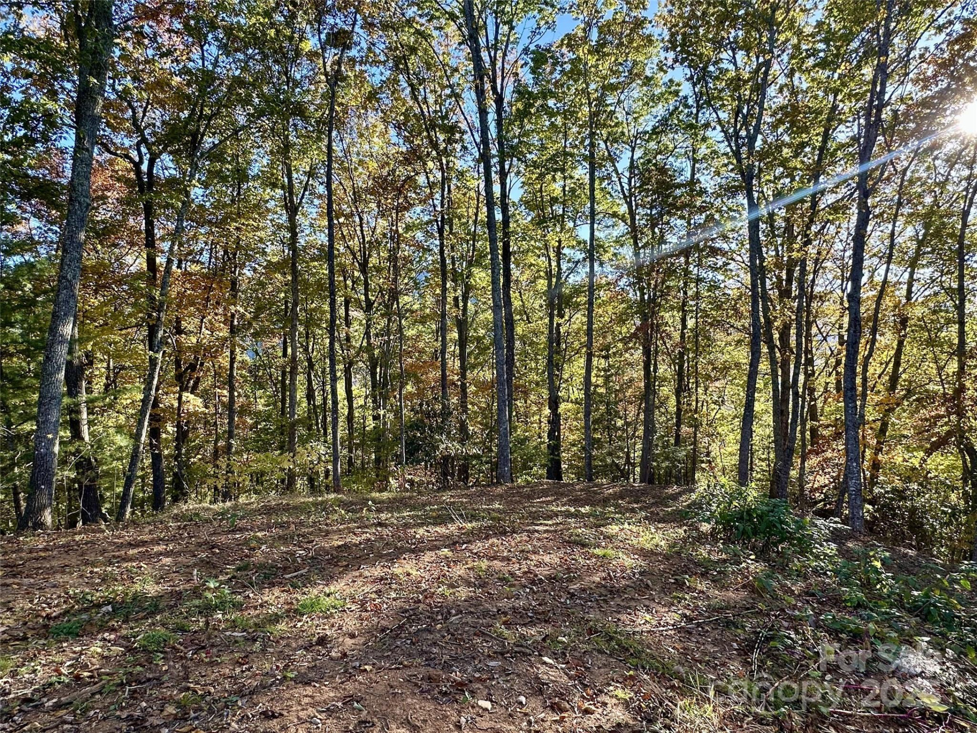 534 Cicada Drive - Photo 5