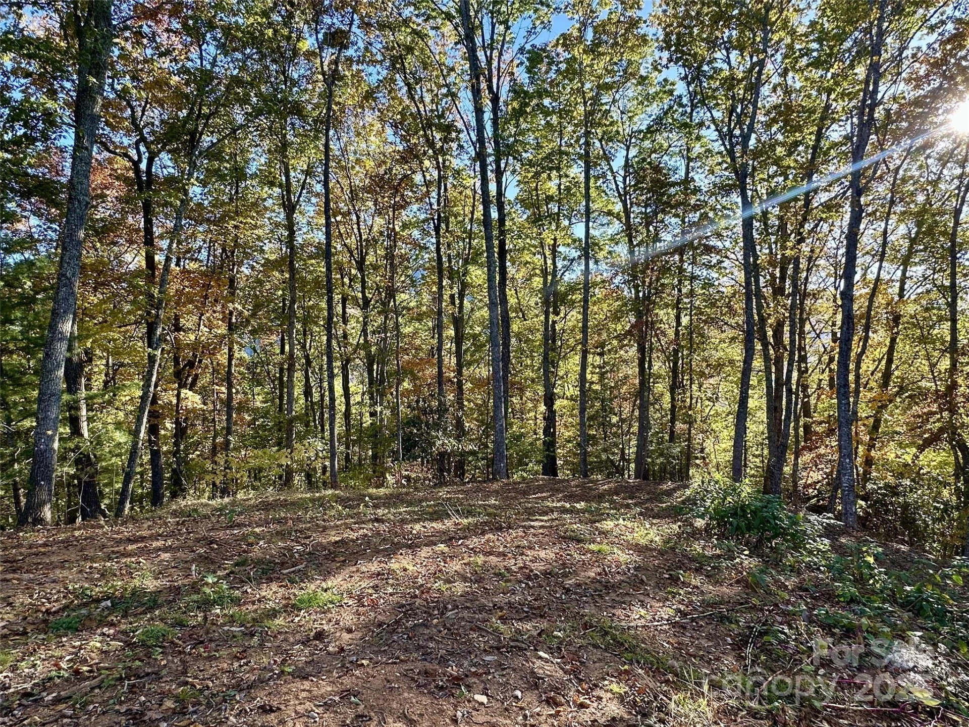 534 Cicada Drive - Photo 5