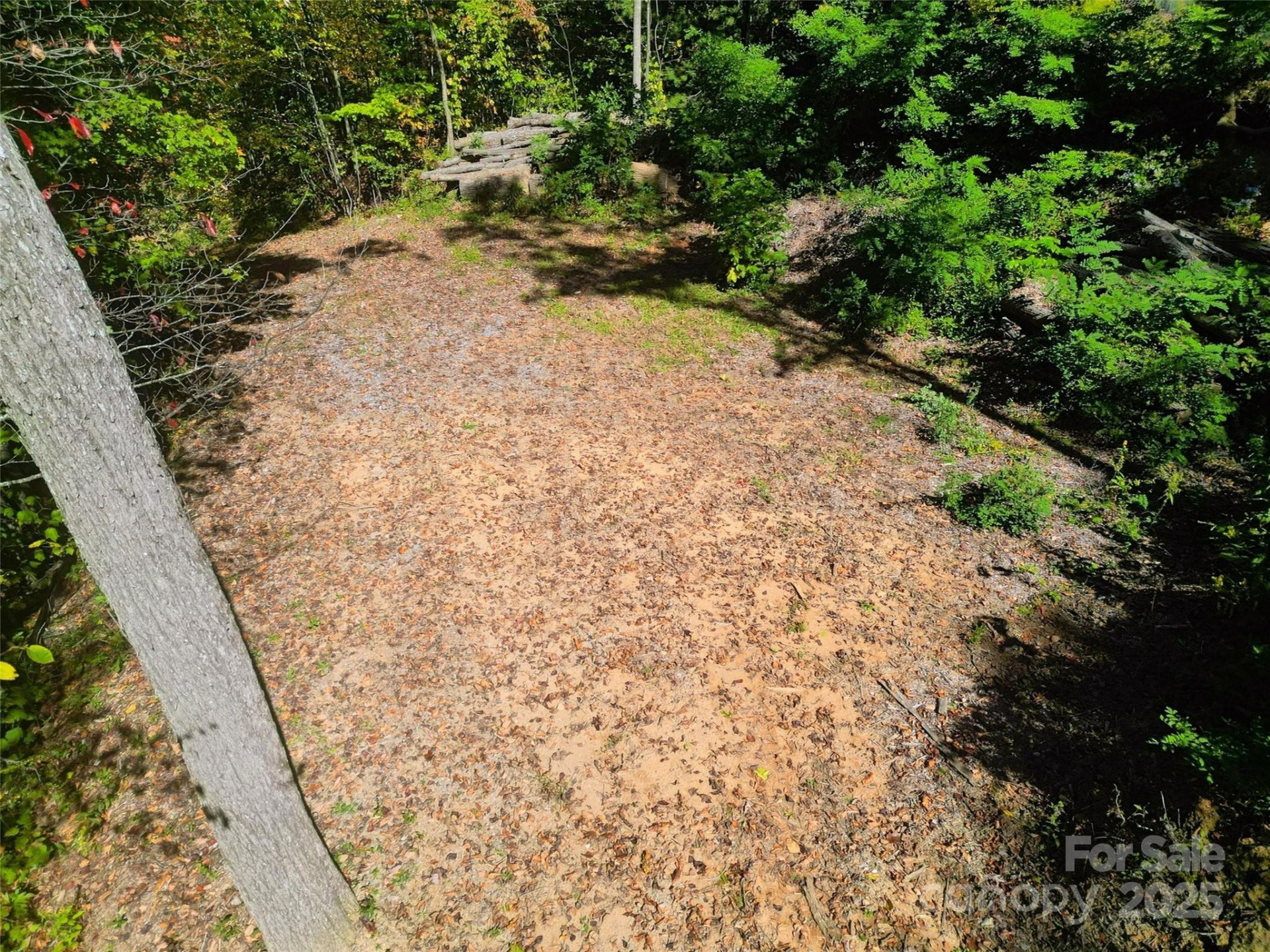 534 Cicada Drive - Photo 6